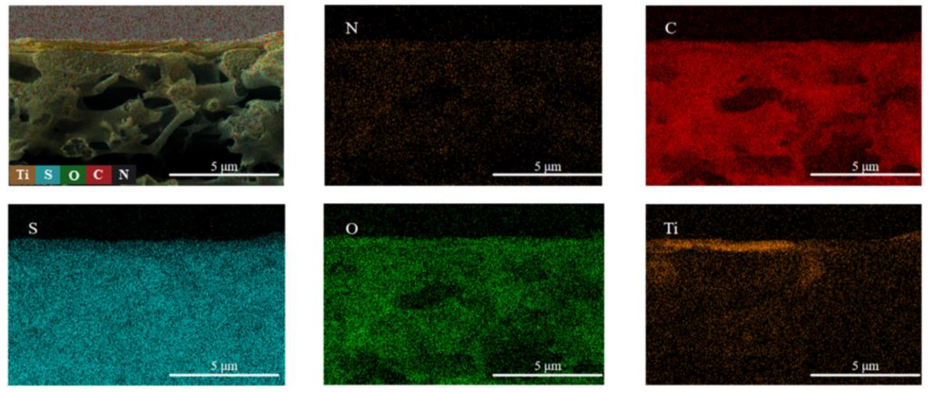 Molecules 29 04326 g002