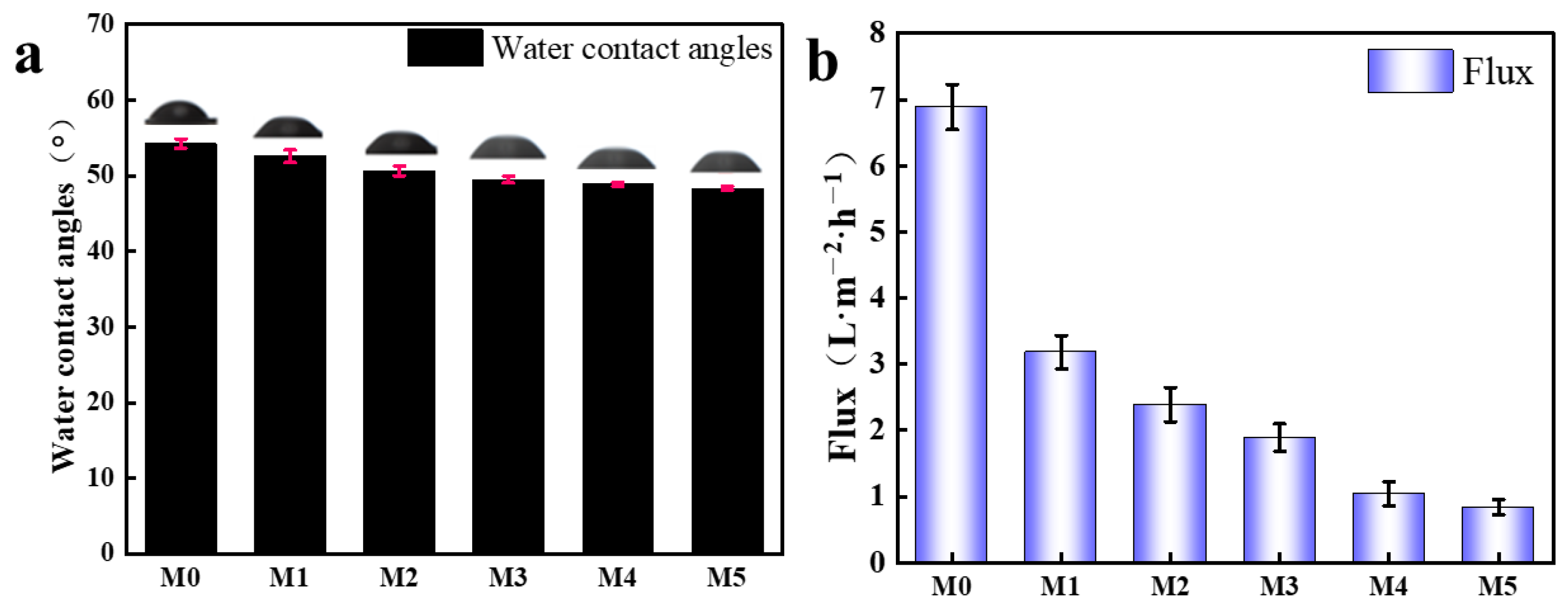 Molecules 29 04326 g006