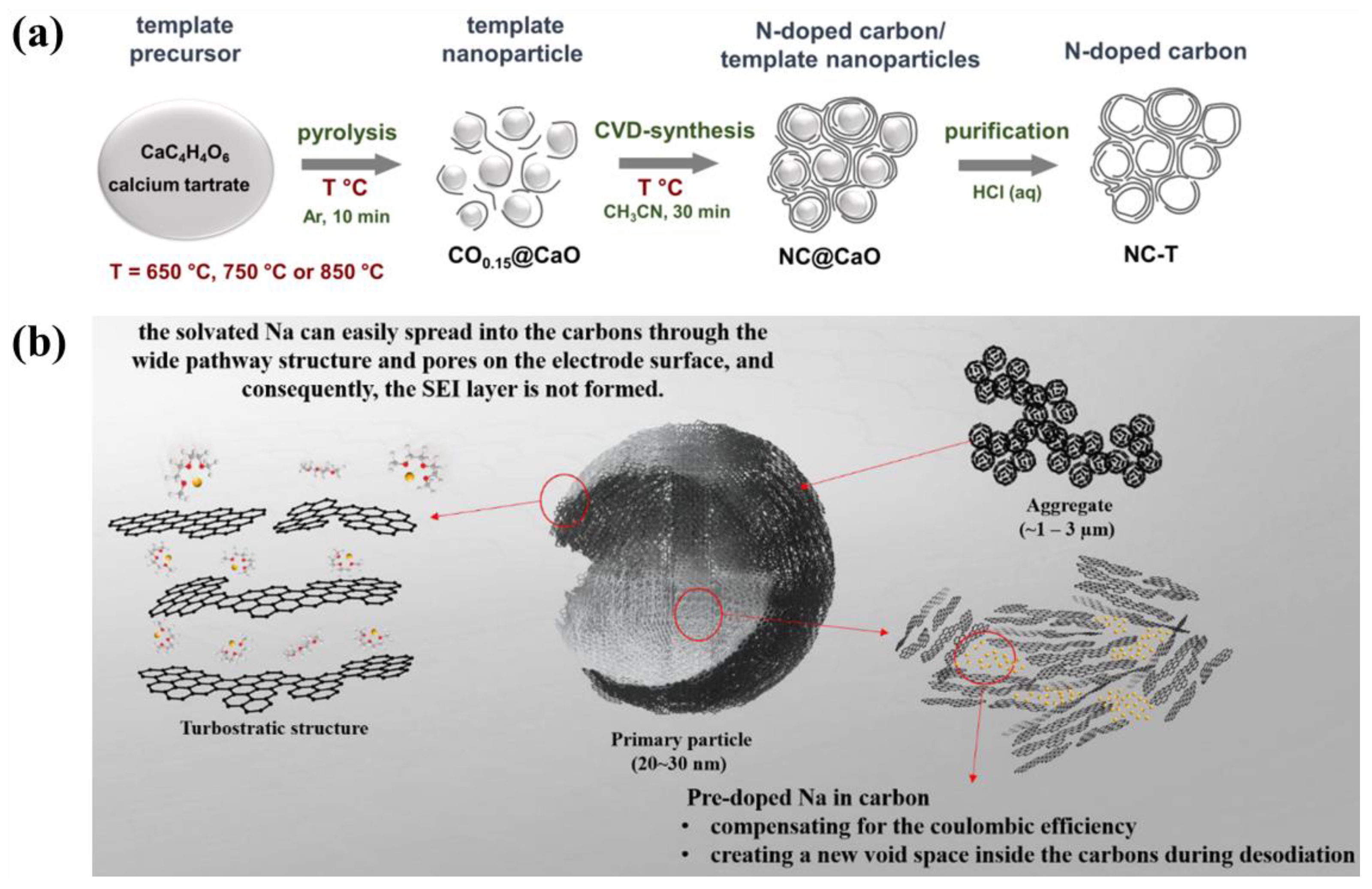 Molecules 29 04331 g017