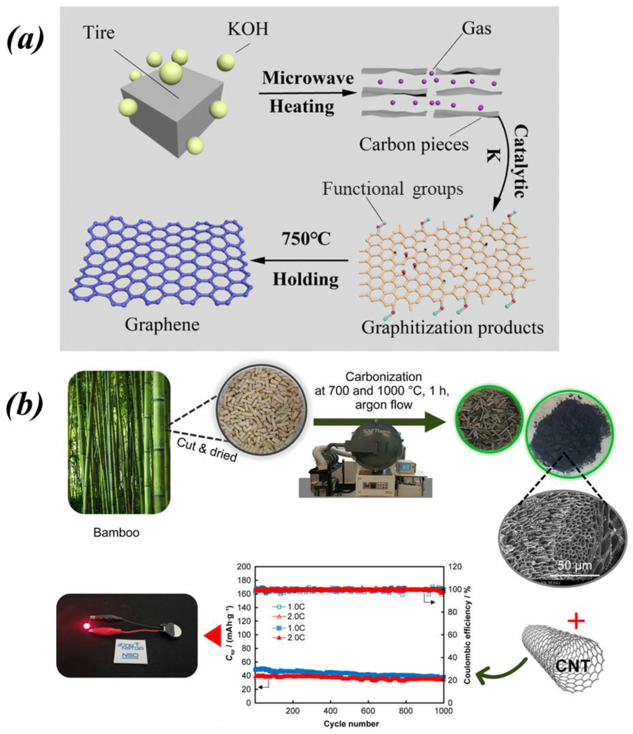 Molecules 29 04331 g019
