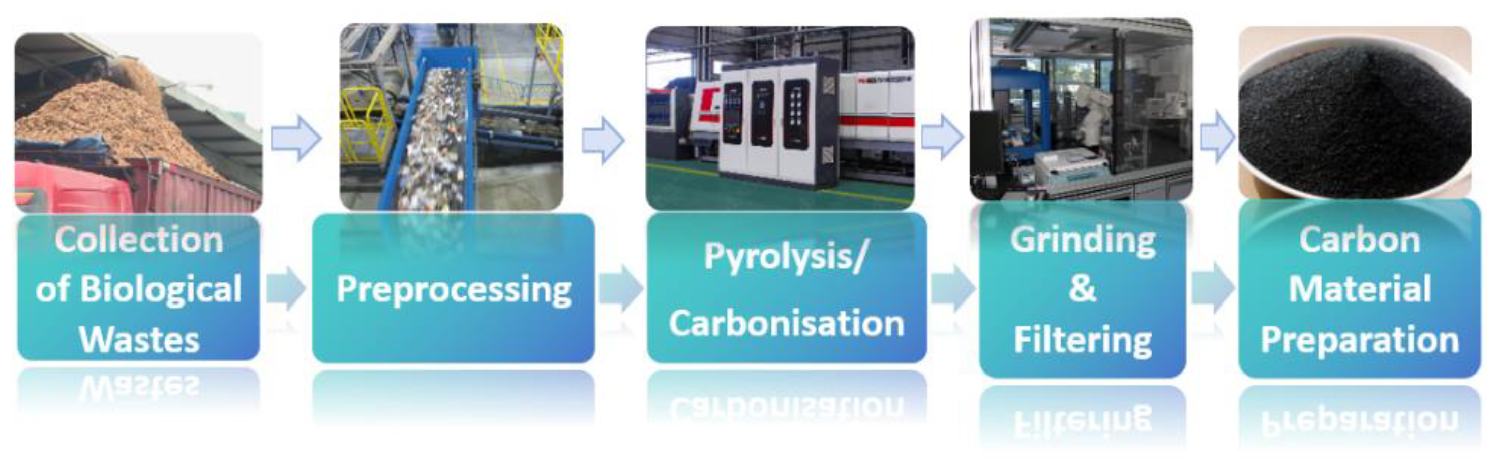 Molecules 29 04331 g020
