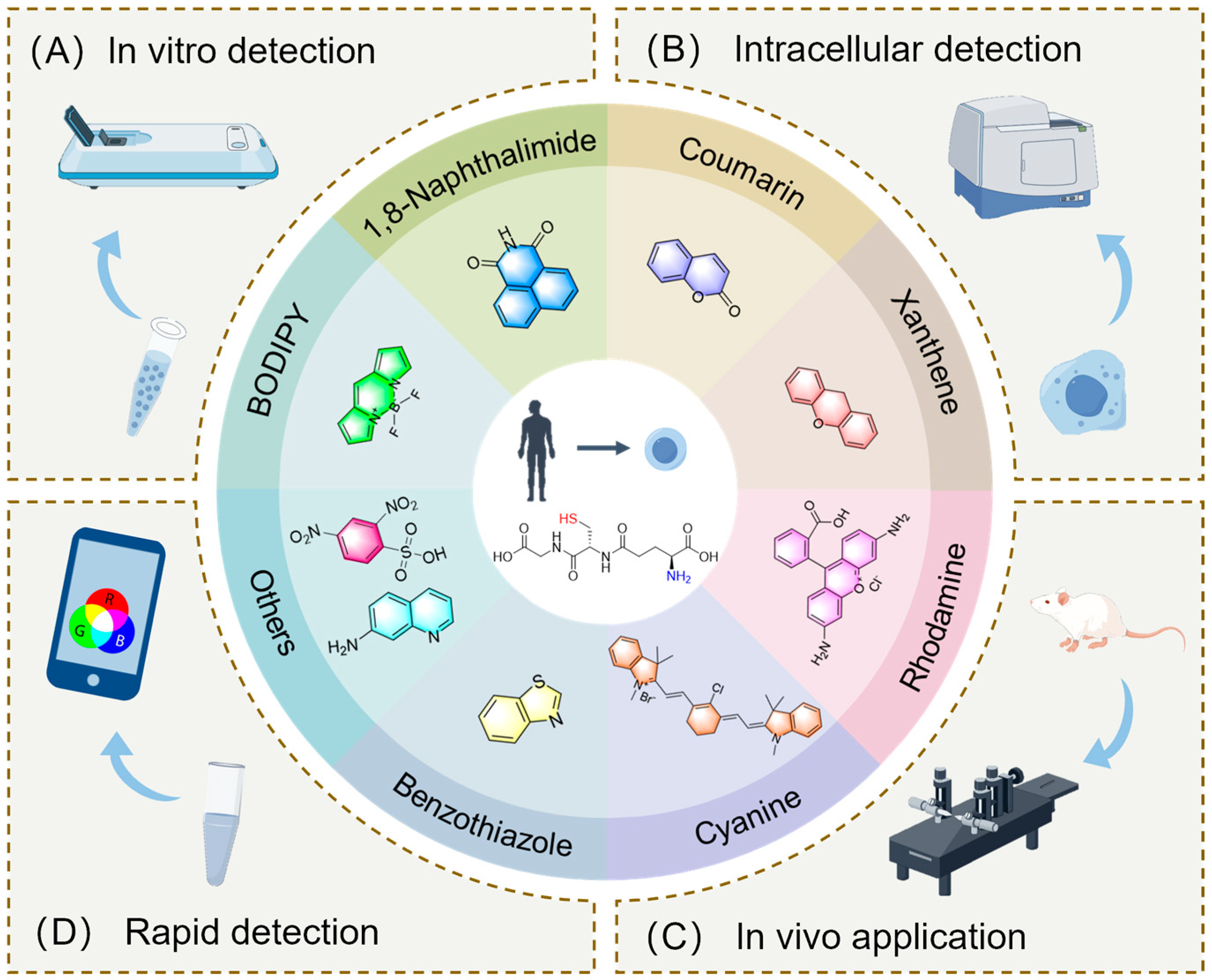 Molecules 29 04333 g001