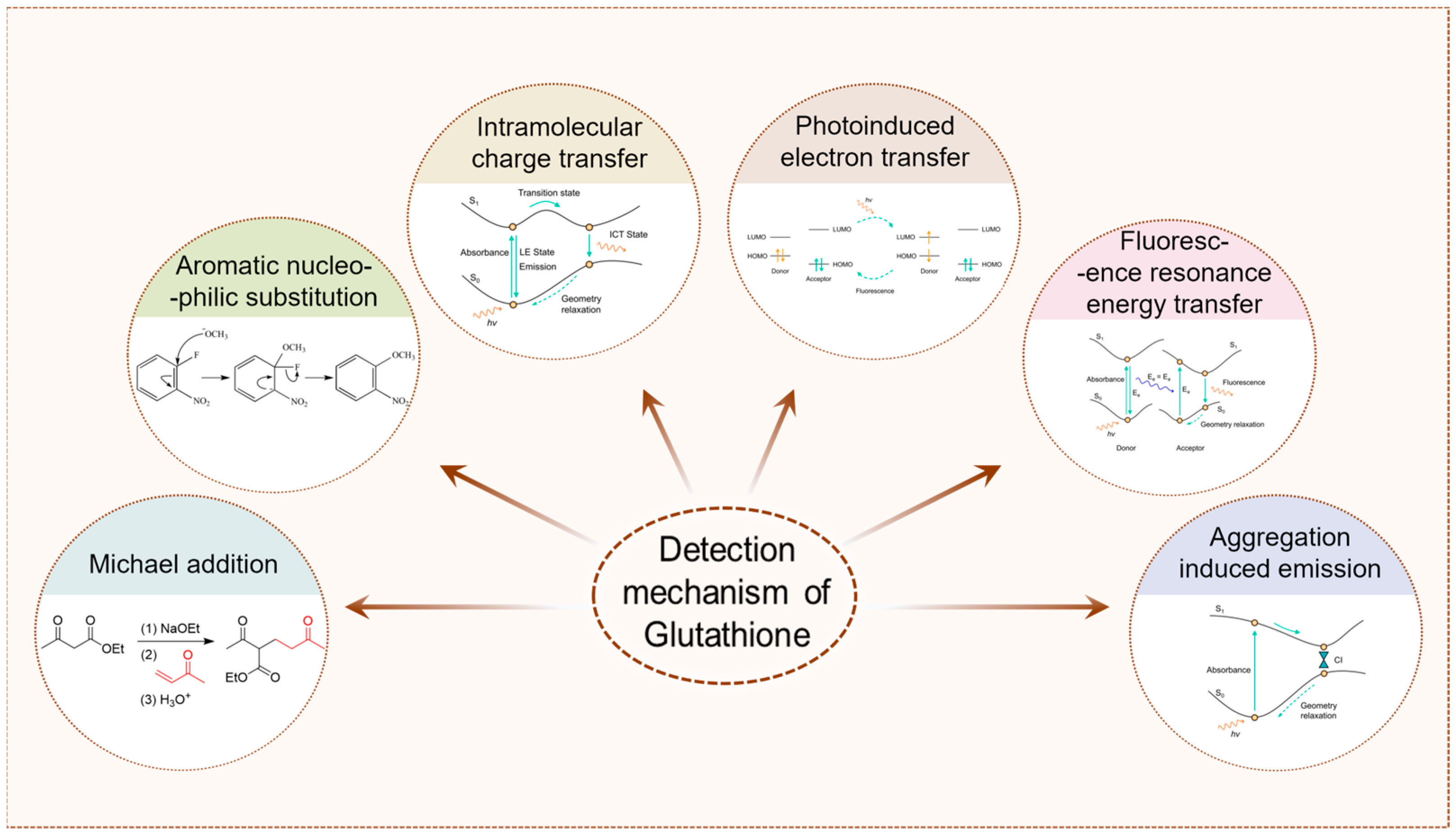 Molecules 29 04333 g002
