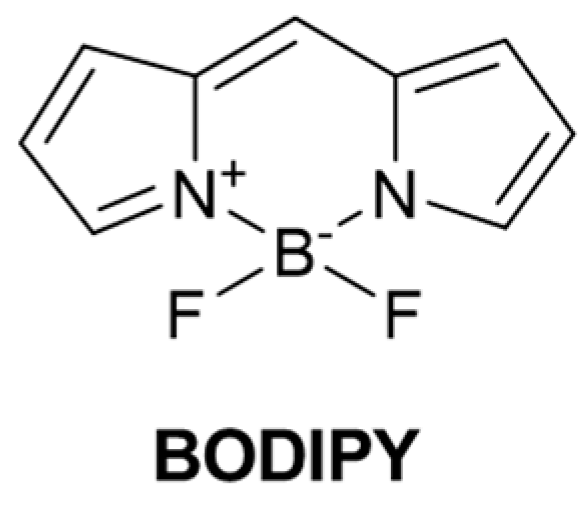 Molecules 29 04333 g003