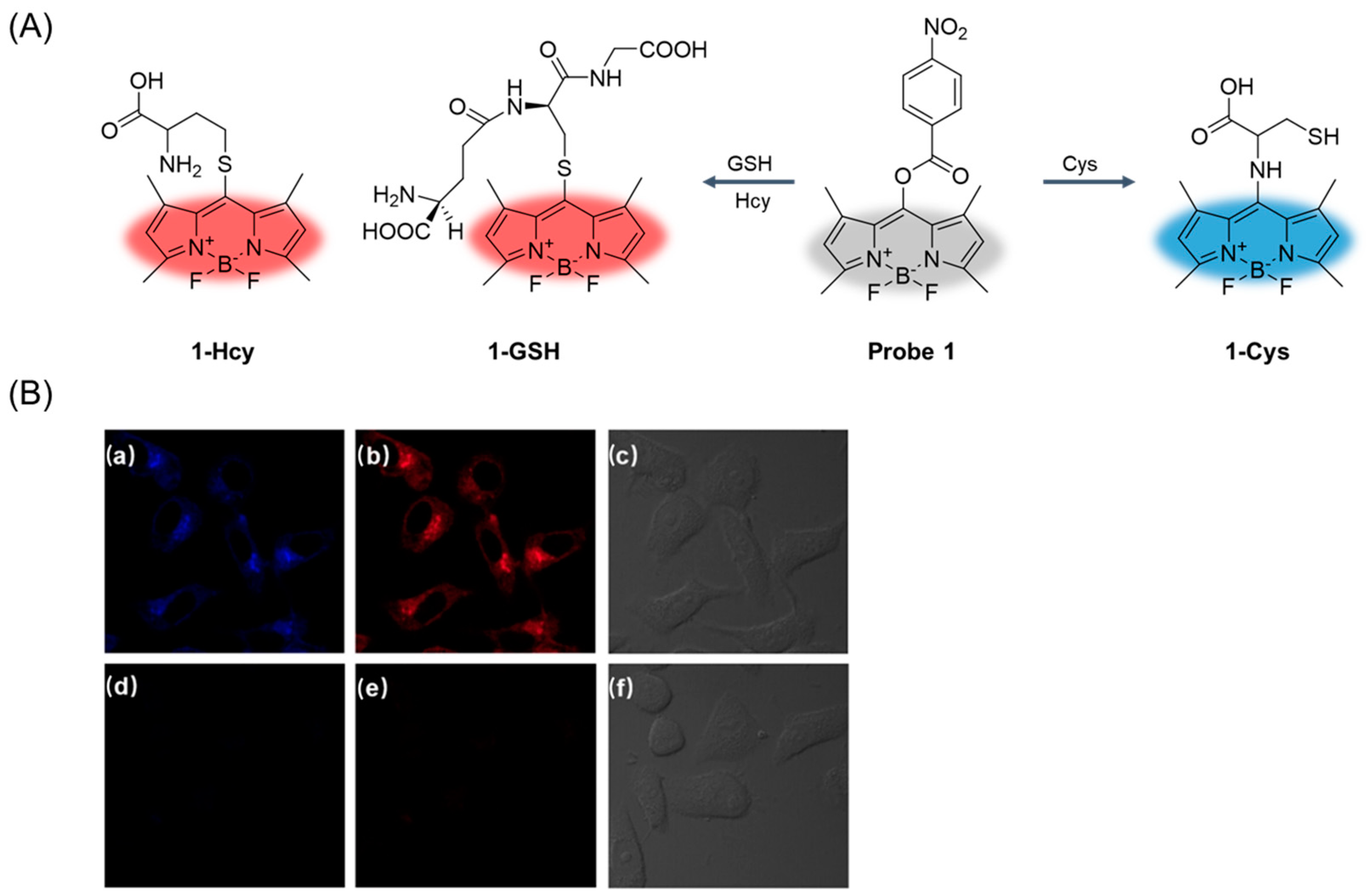 Molecules 29 04333 g004