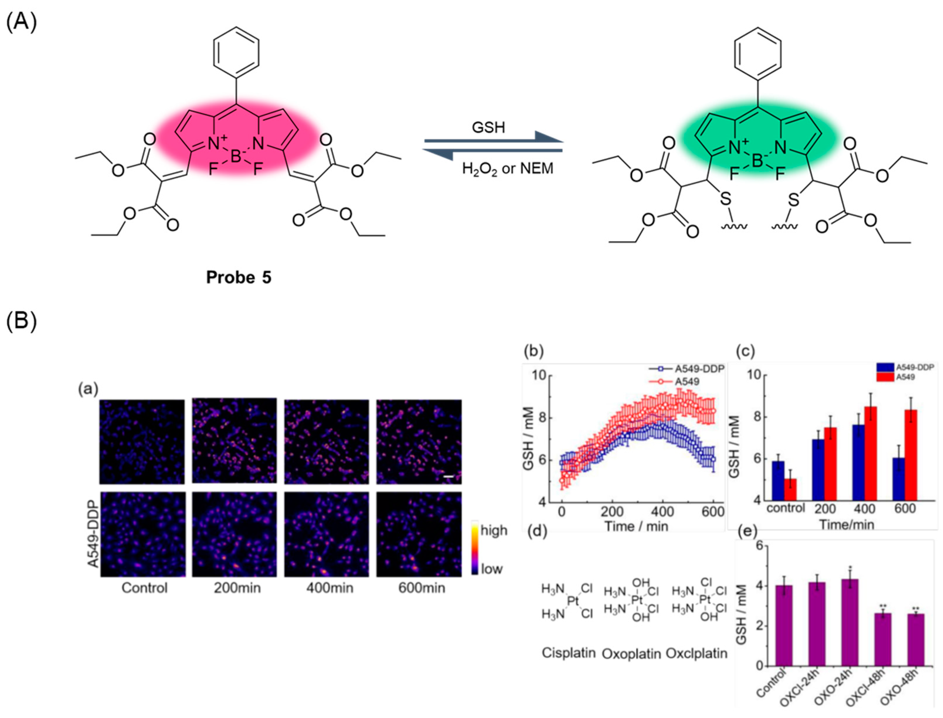 Molecules 29 04333 g008