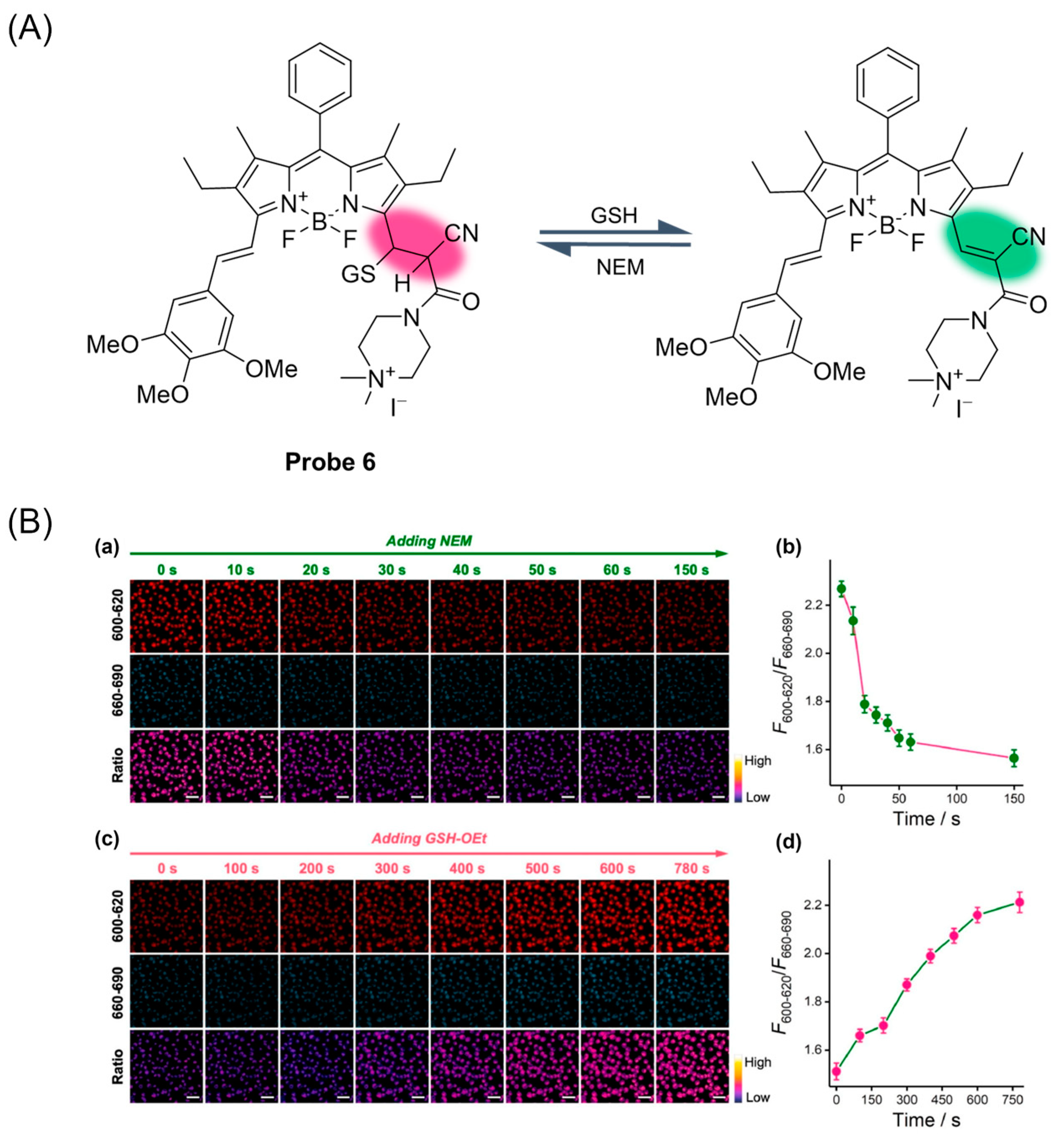 Molecules 29 04333 g009
