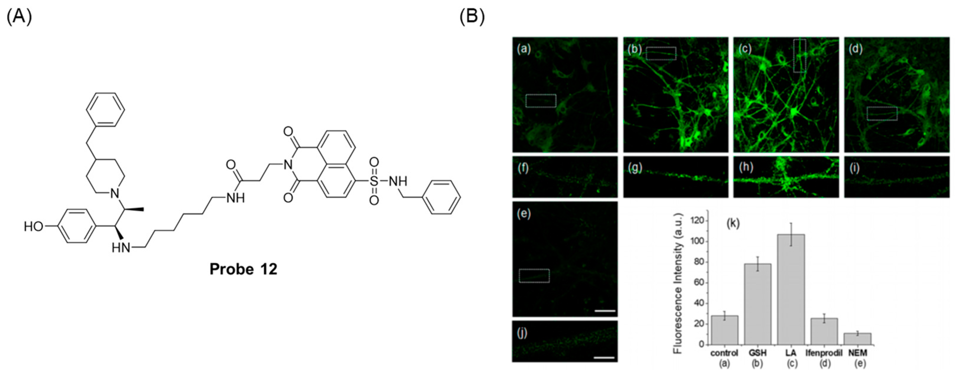 Molecules 29 04333 g016