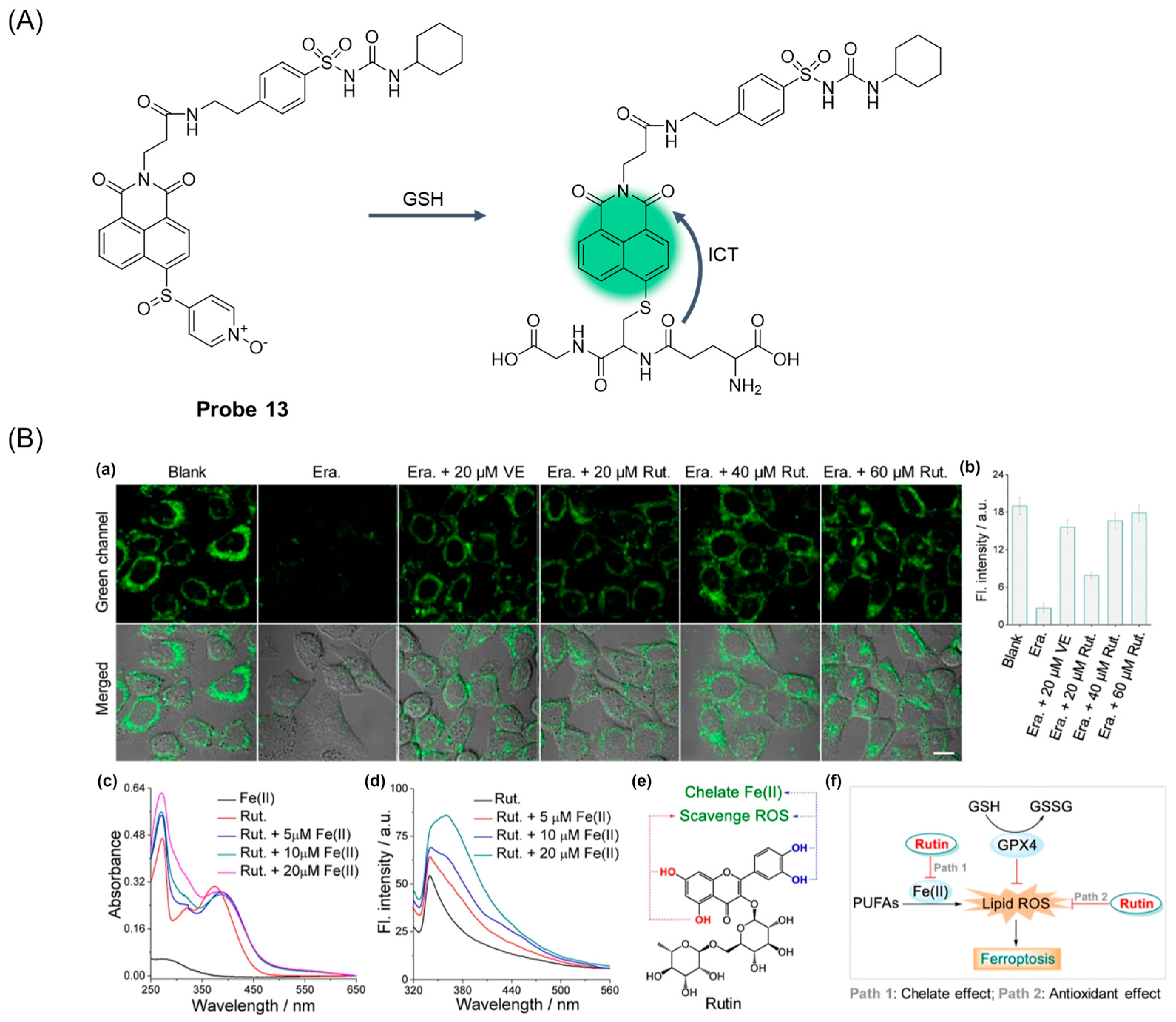 Molecules 29 04333 g017