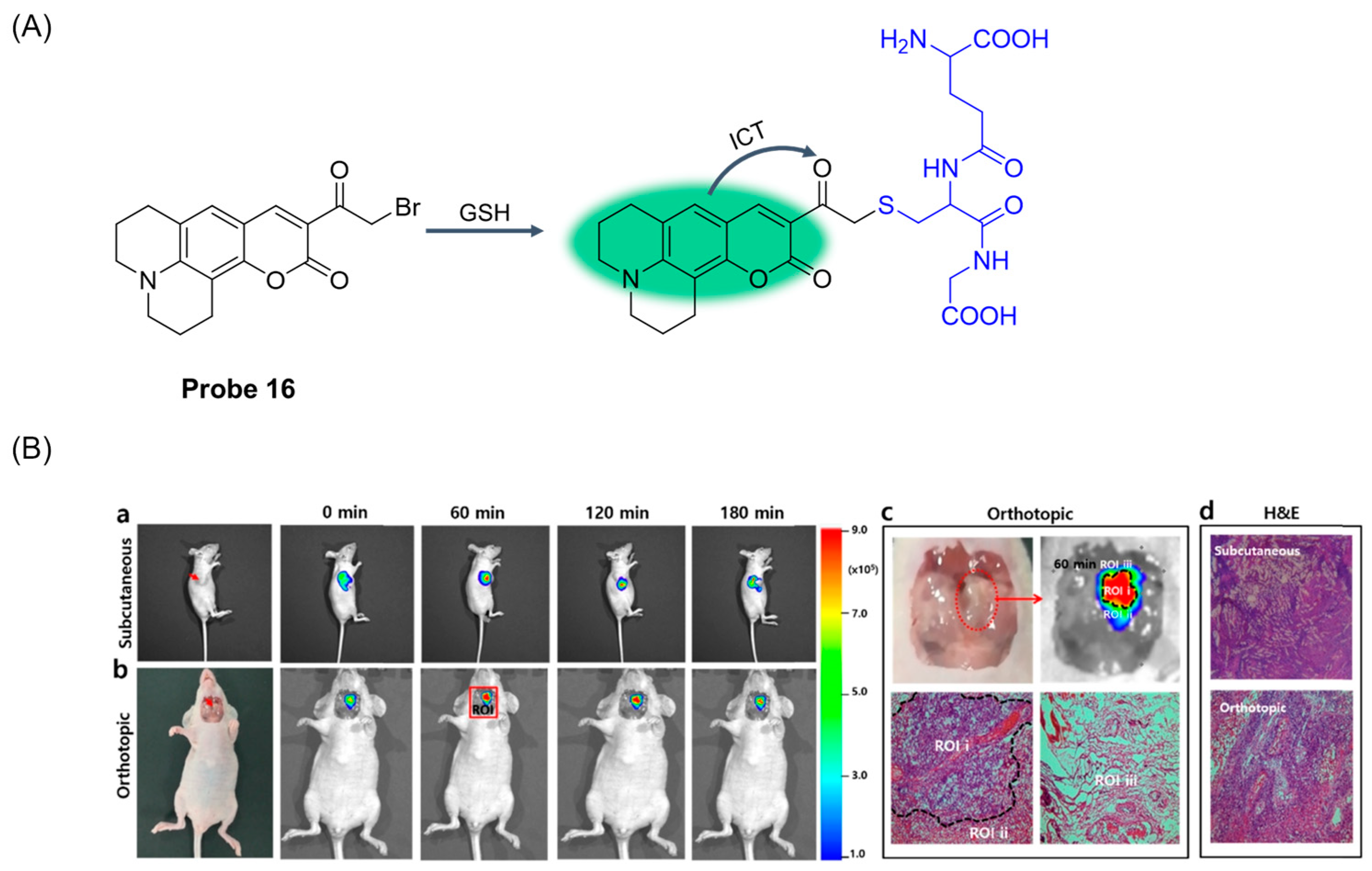 Molecules 29 04333 g021