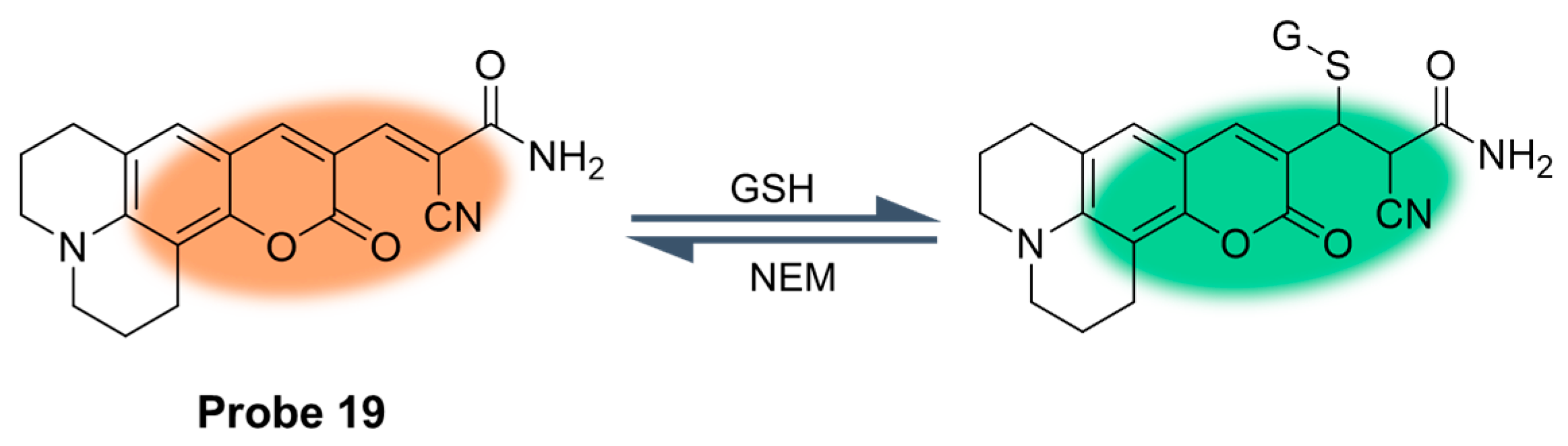 Molecules 29 04333 g024