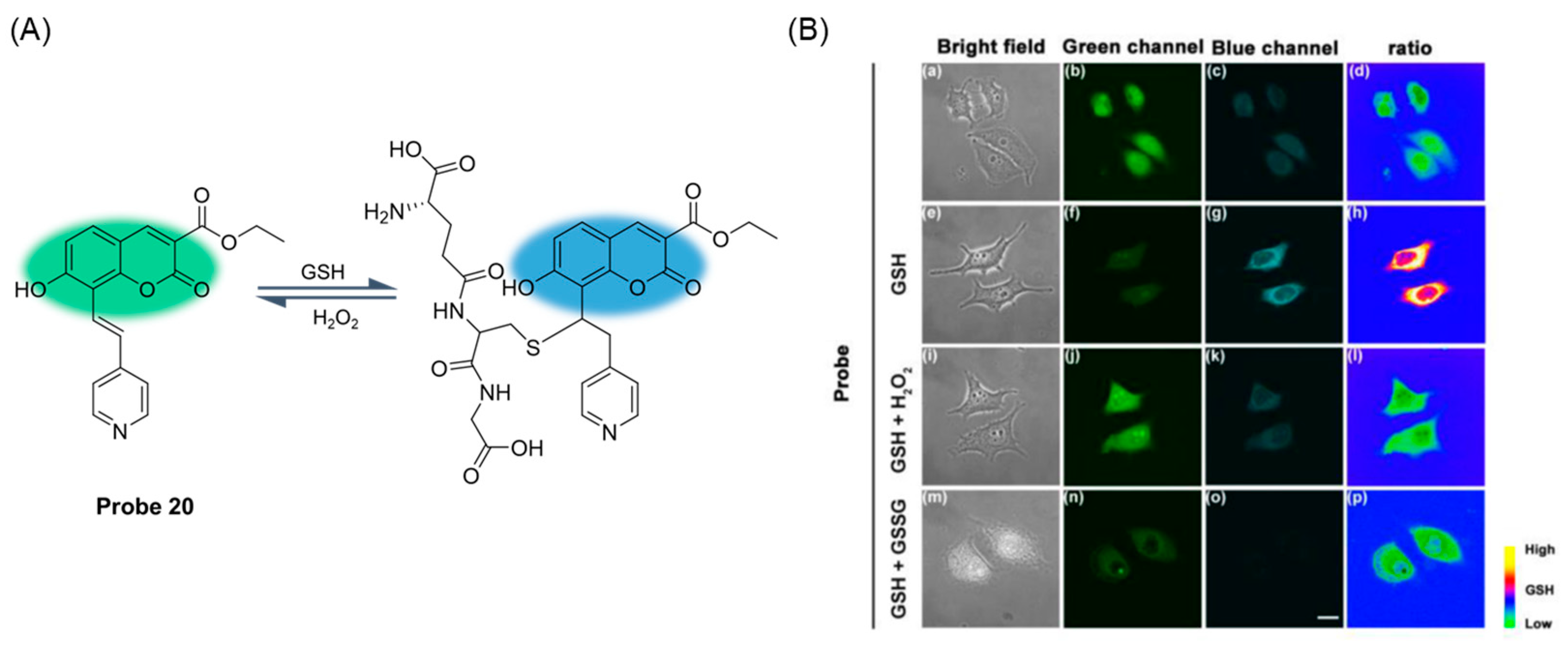 Molecules 29 04333 g025