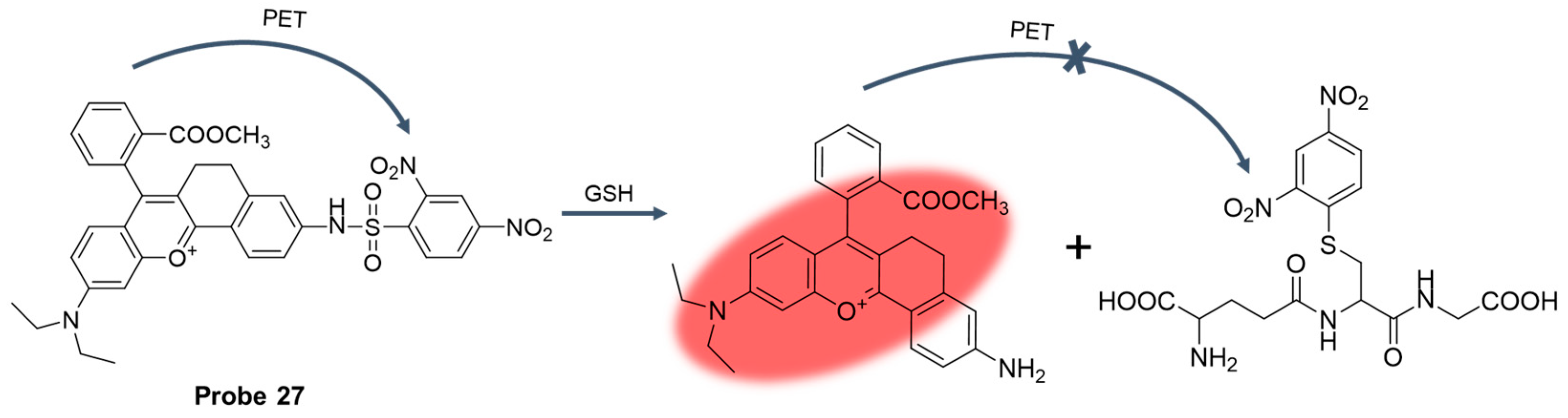 Molecules 29 04333 g033