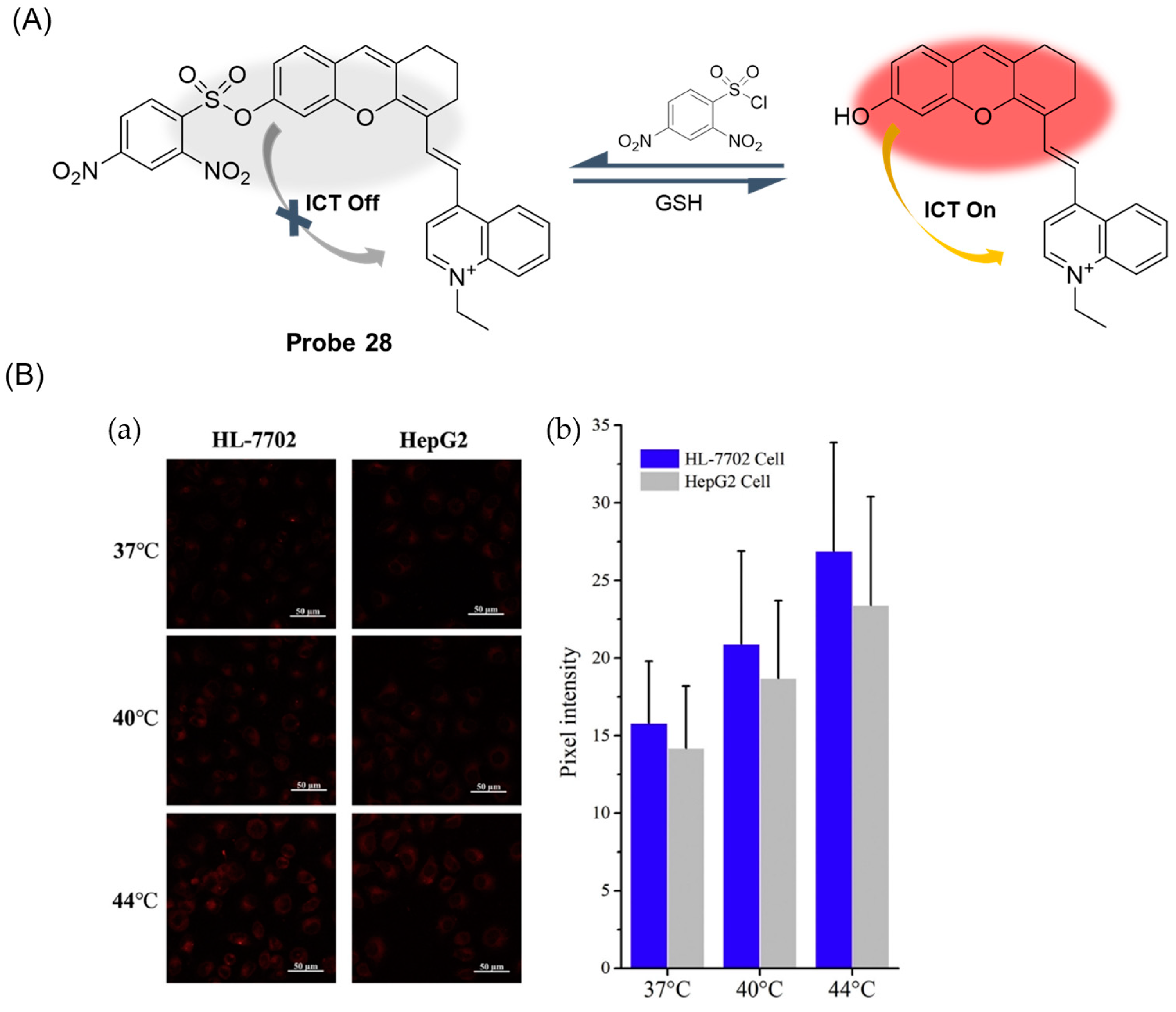 Molecules 29 04333 g034