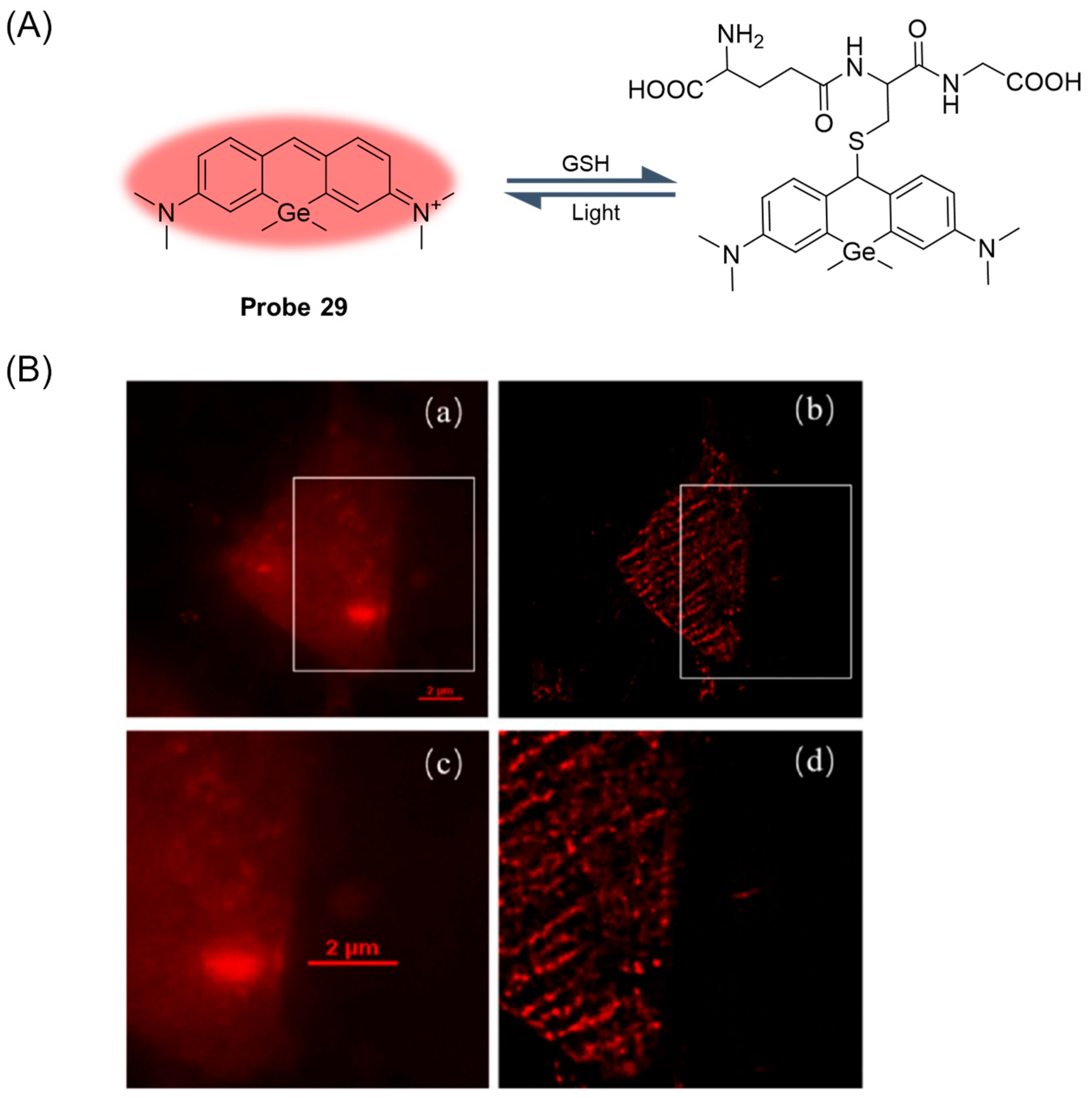 Molecules 29 04333 g035