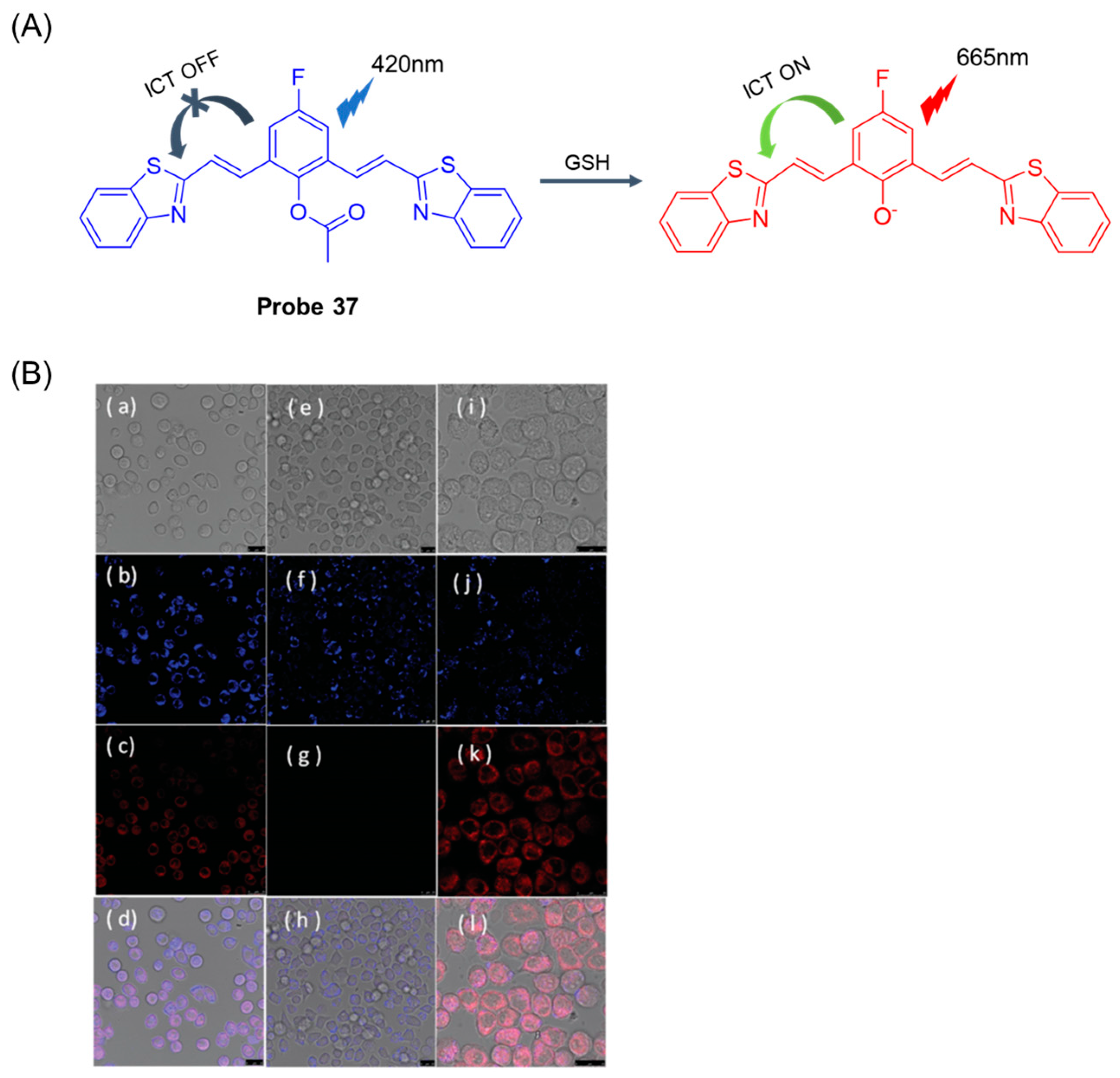 Molecules 29 04333 g046