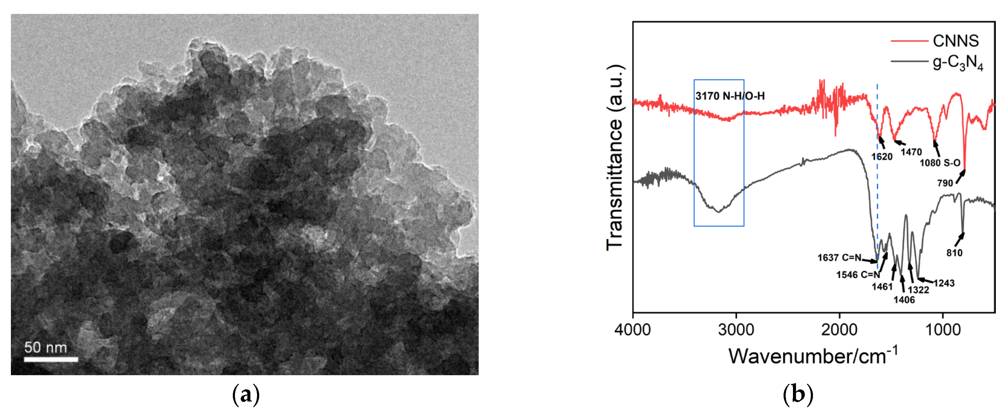Molecules 29 04334 g001