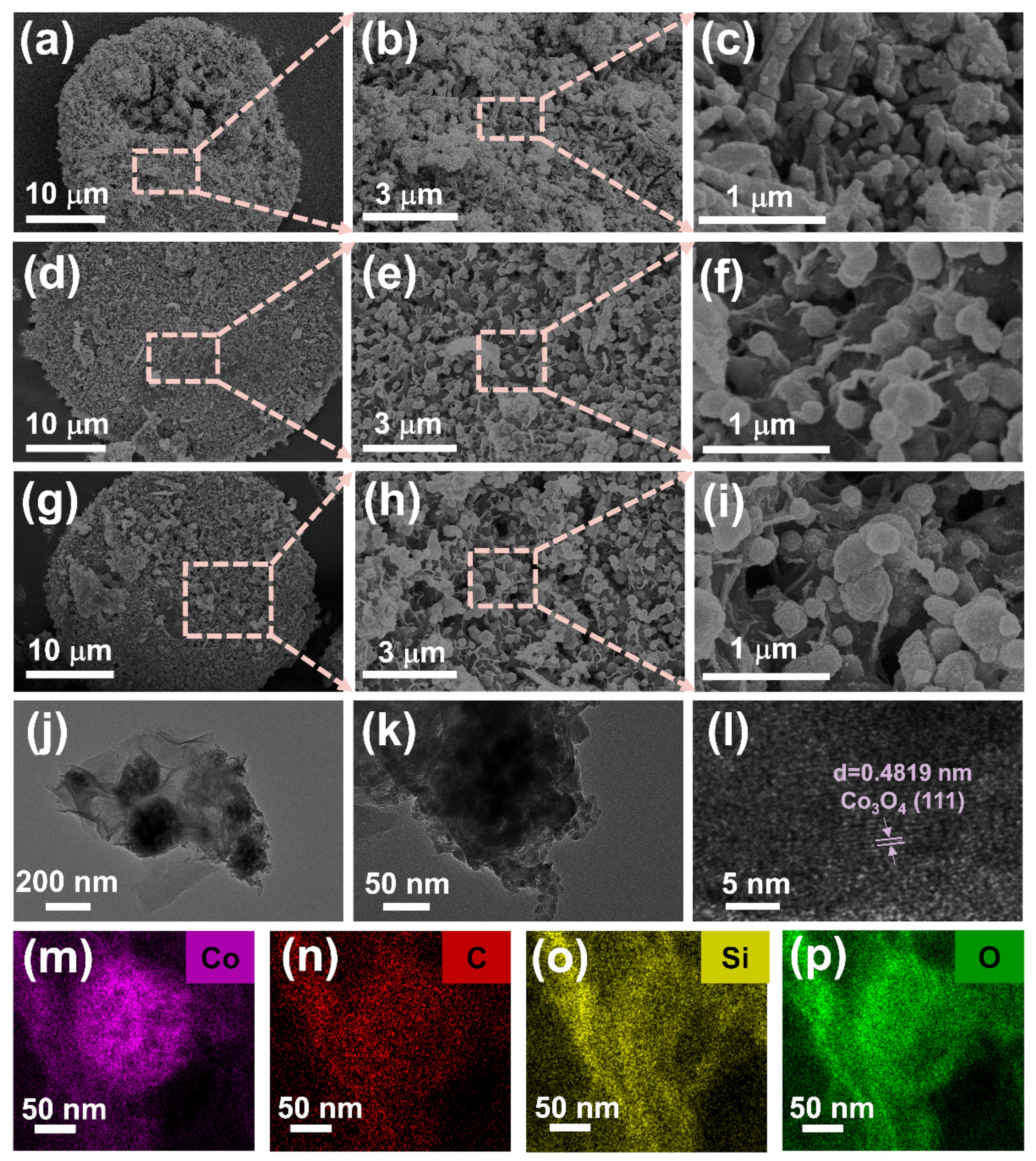 Molecules 29 04336 g001