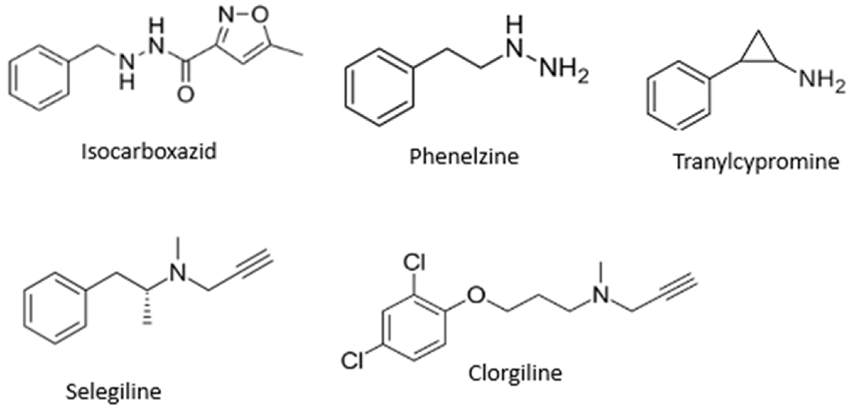 Molecules 29 04338 g001