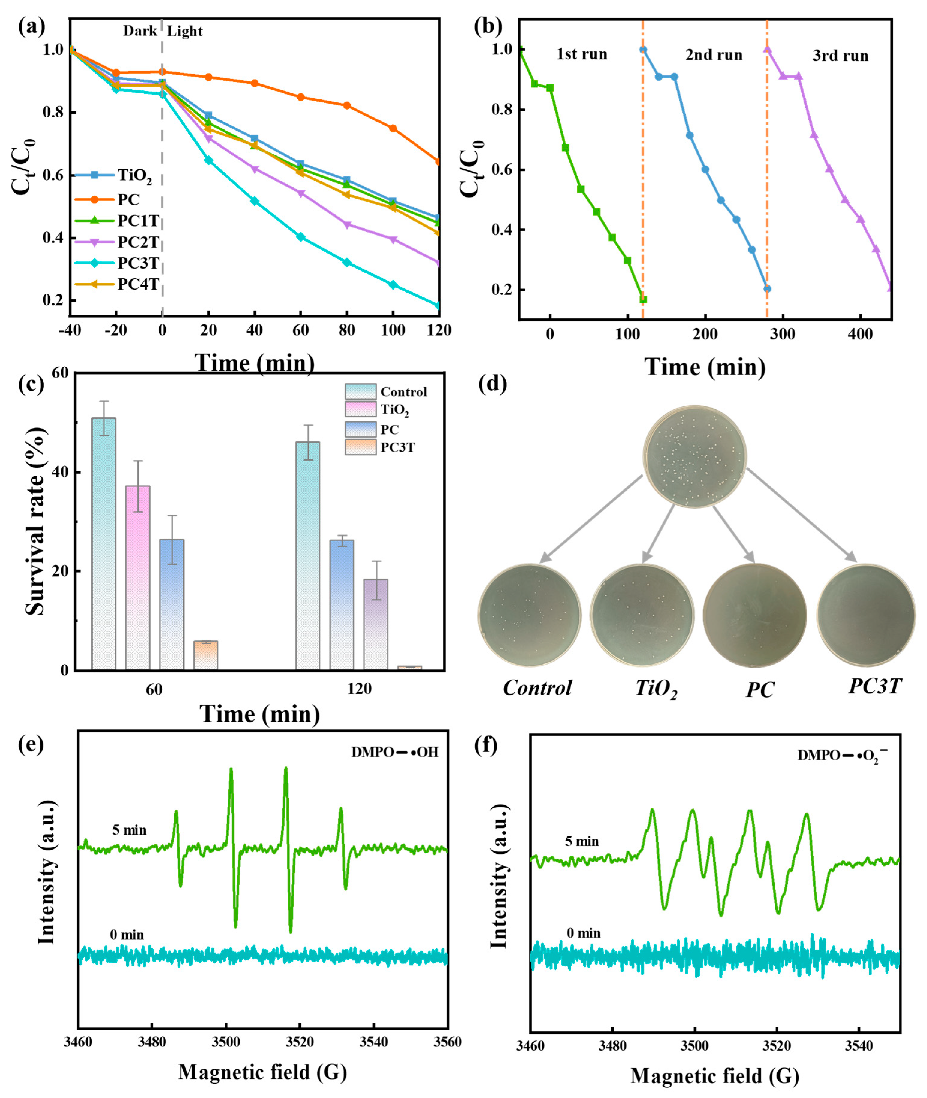 Molecules 29 04342 g005
