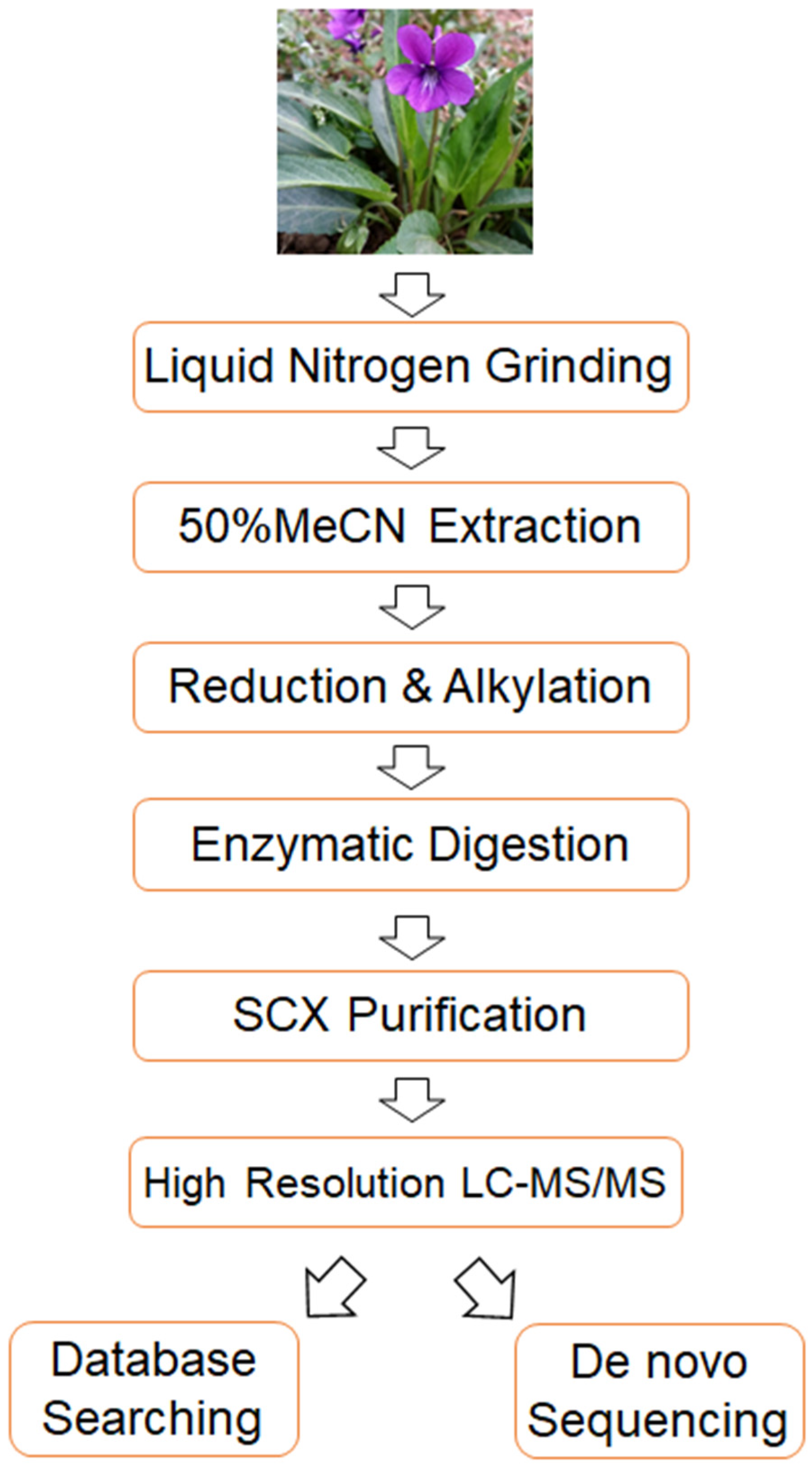 Molecules 29 04344 g001