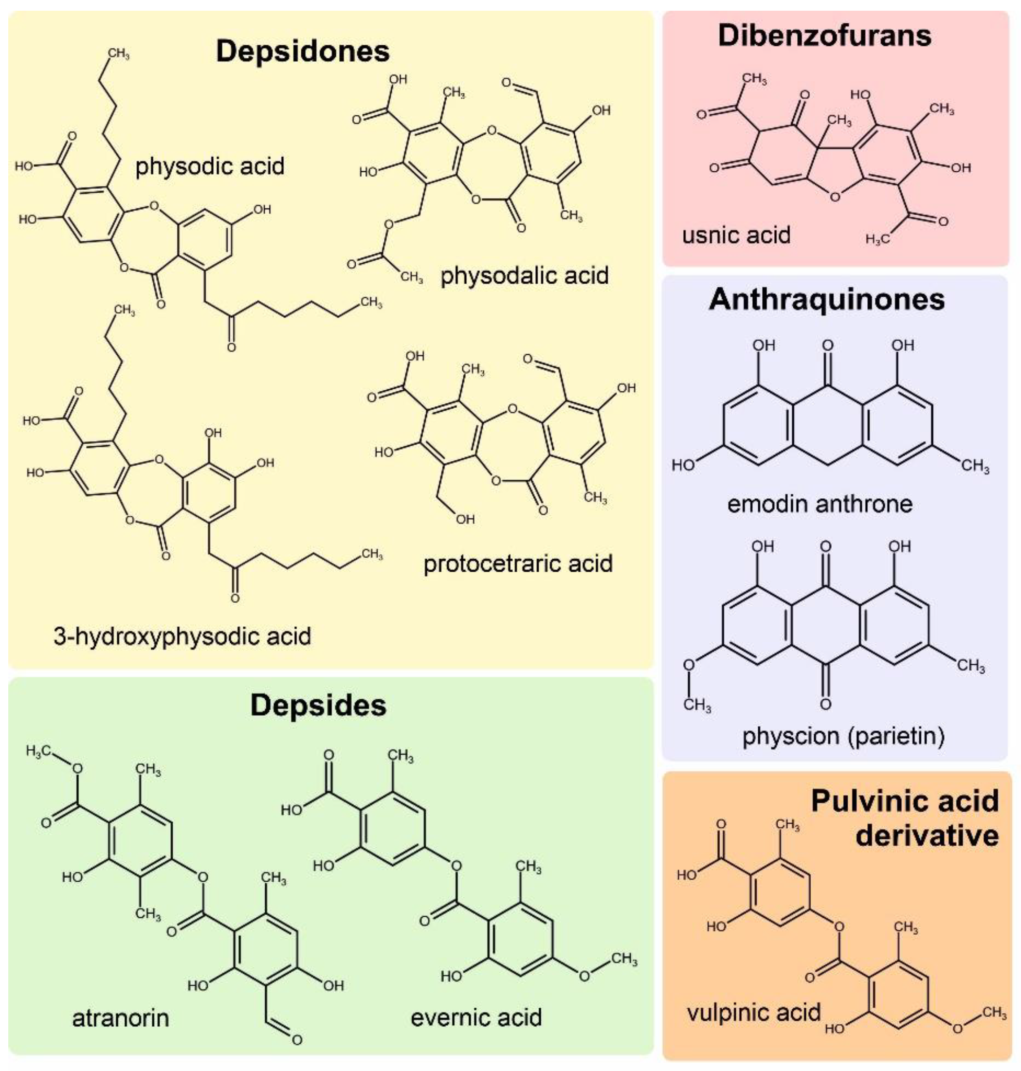 Molecules 29 04352 g002