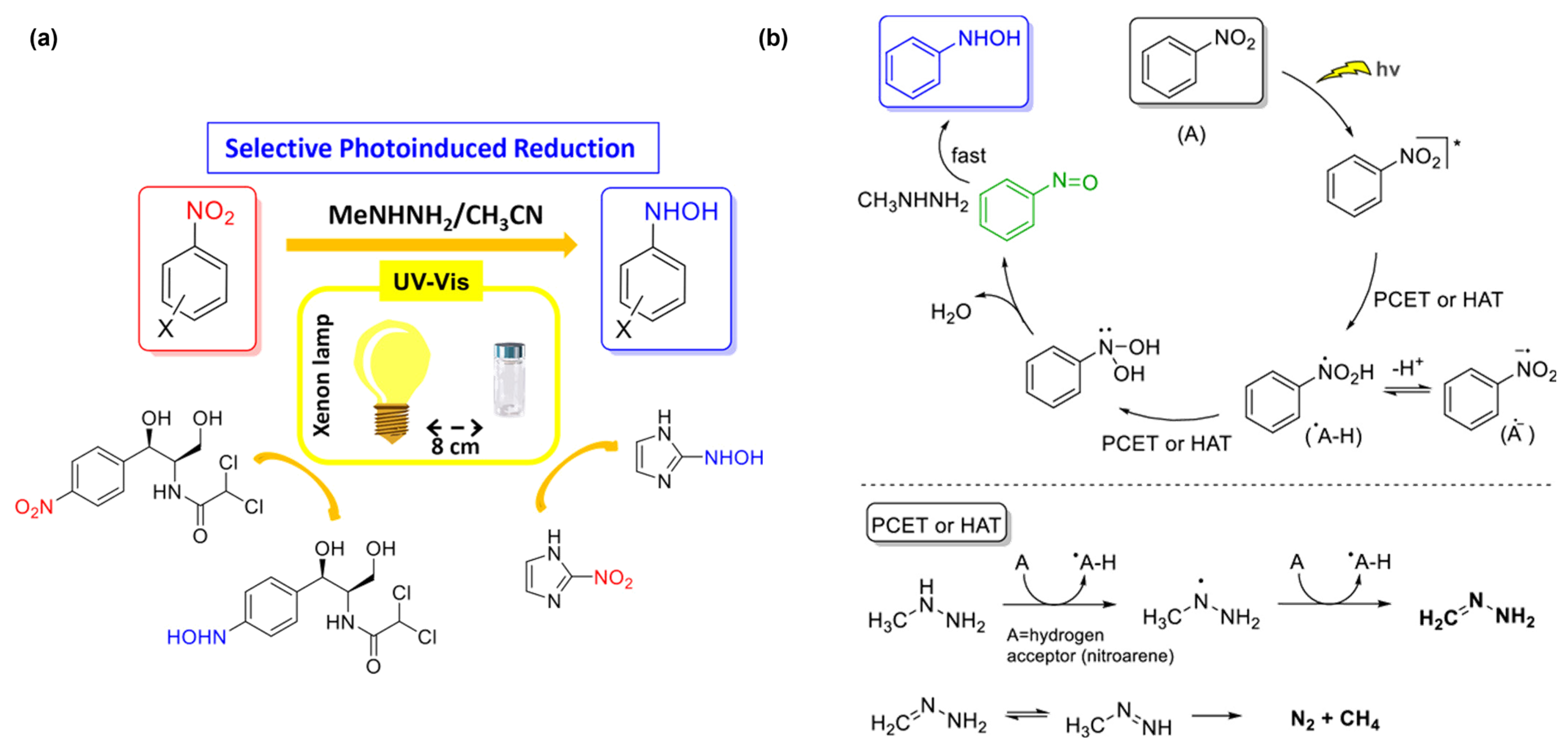 Molecules 29 04353 g002 Molecules 29 04353 g002