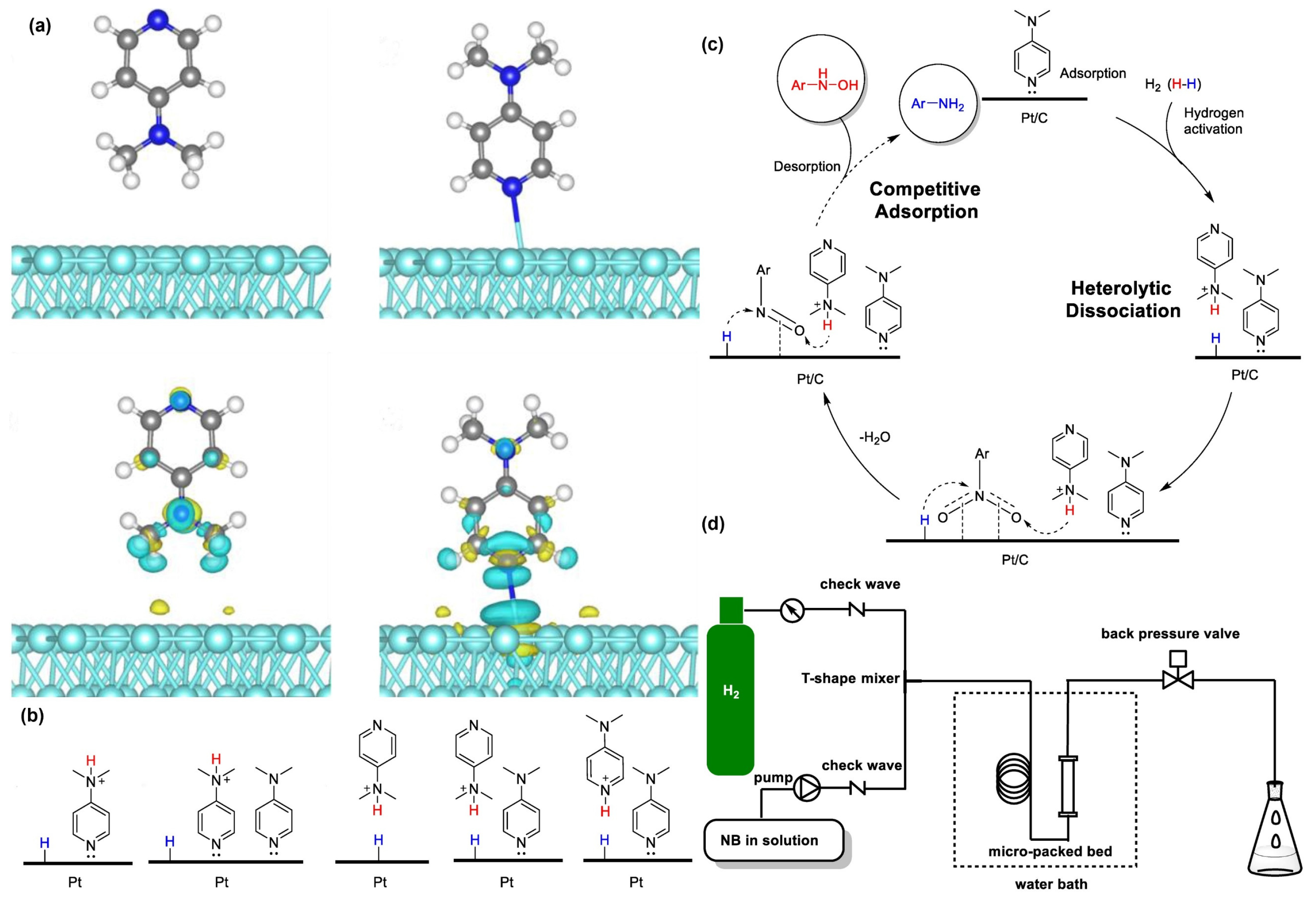 Molecules 29 04353 g004 Molecules 29 04353 g004