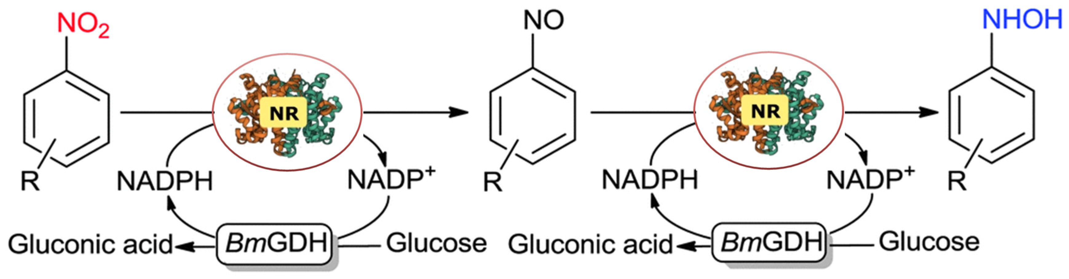 Molecules 29 04353 g010 Molecules 29 04353 g010