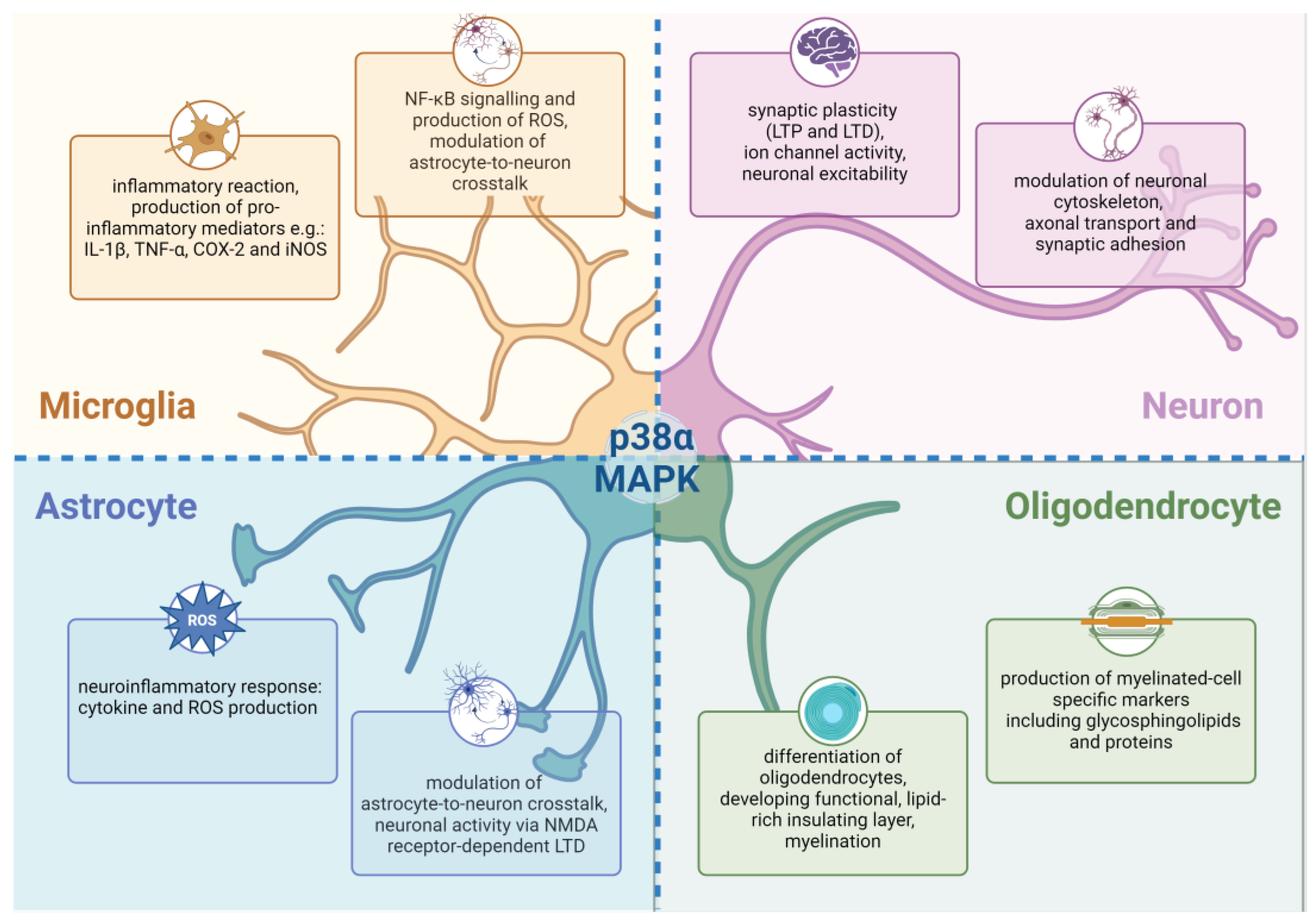 Molecules 29 04354 g002