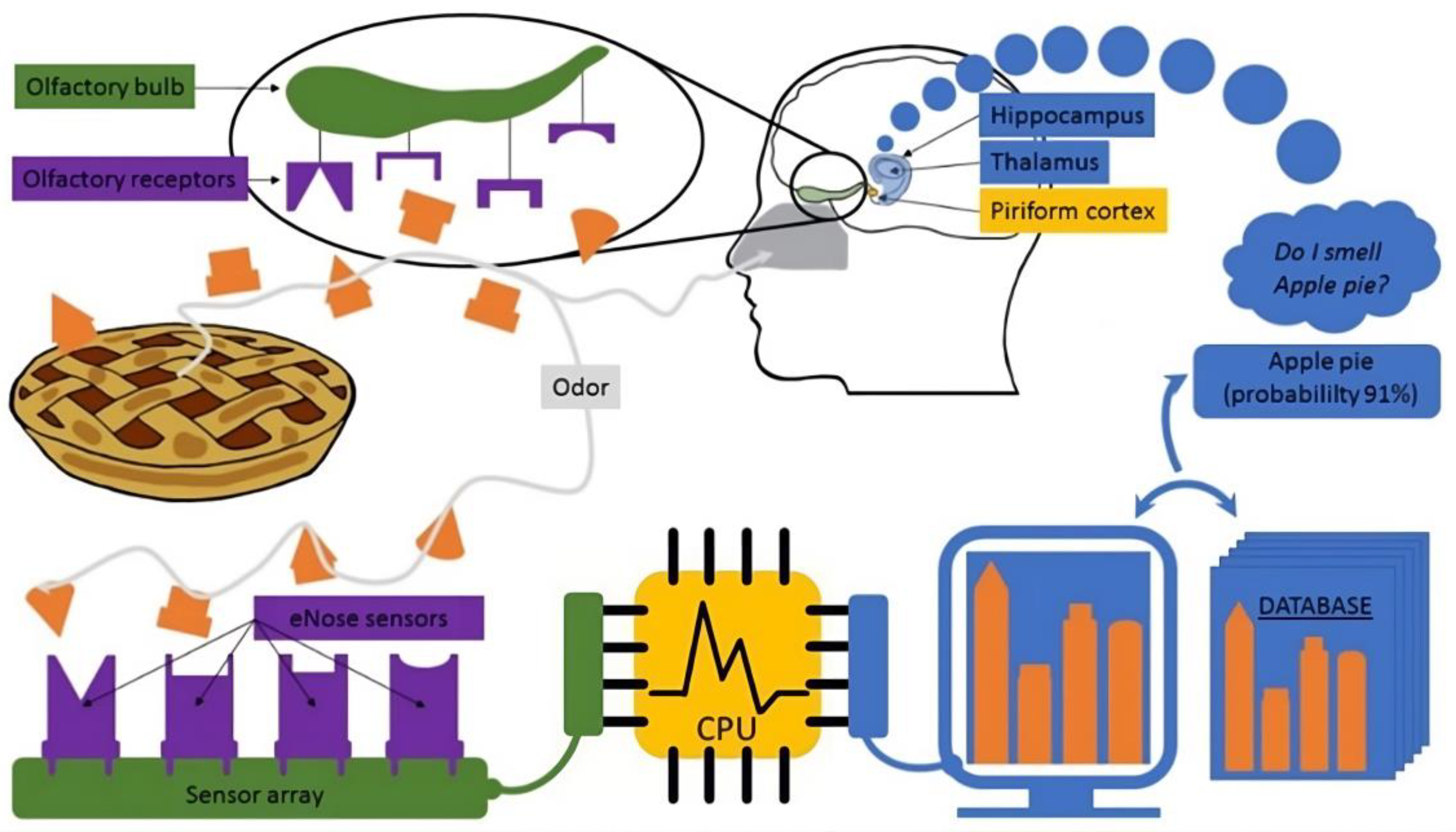 Molecules 29 04358 g004