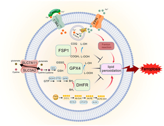 Molecules 29 04359 g002