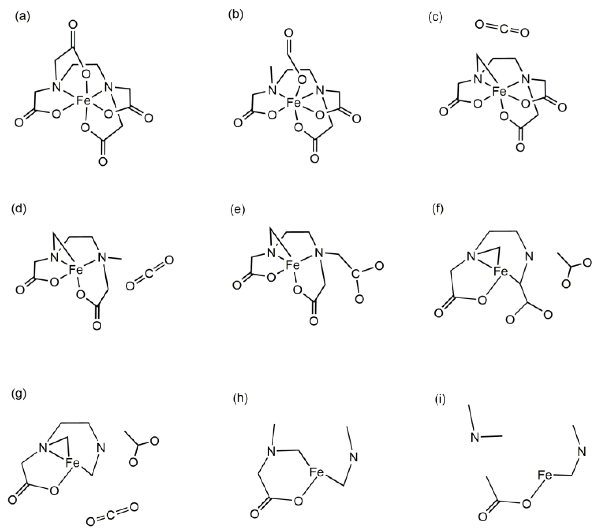Molecules 29 04362 g004