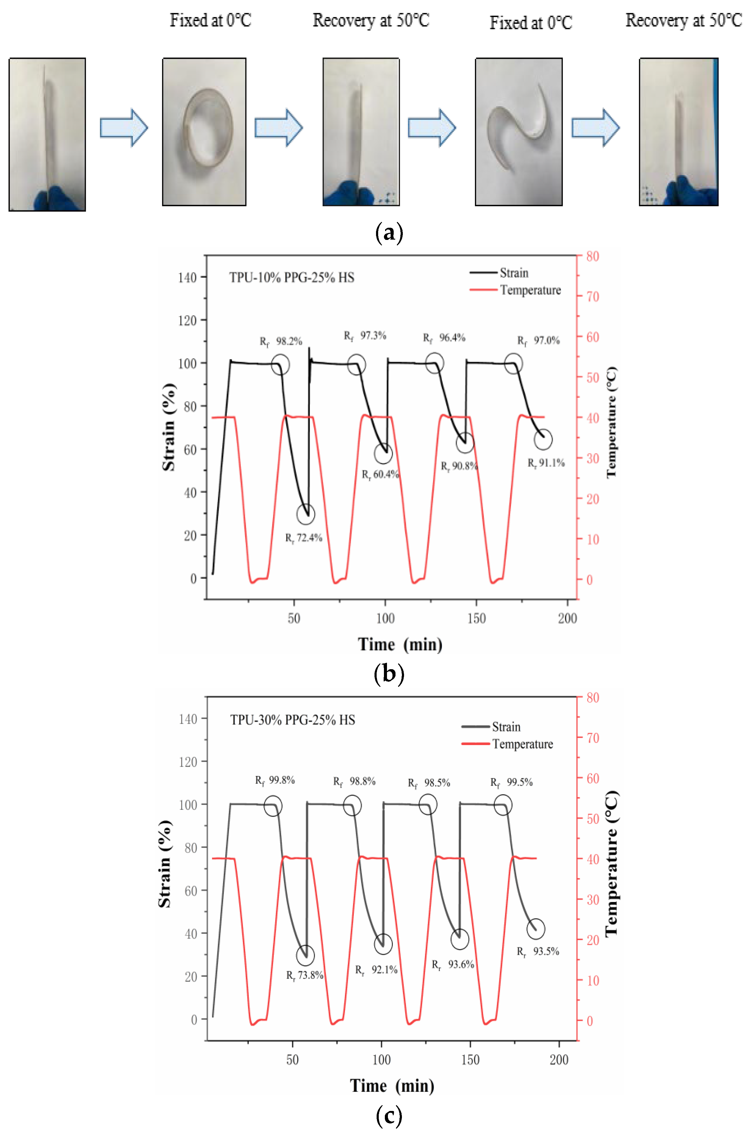 Molecules 29 04364 g006 Molecules 29 04364 g006