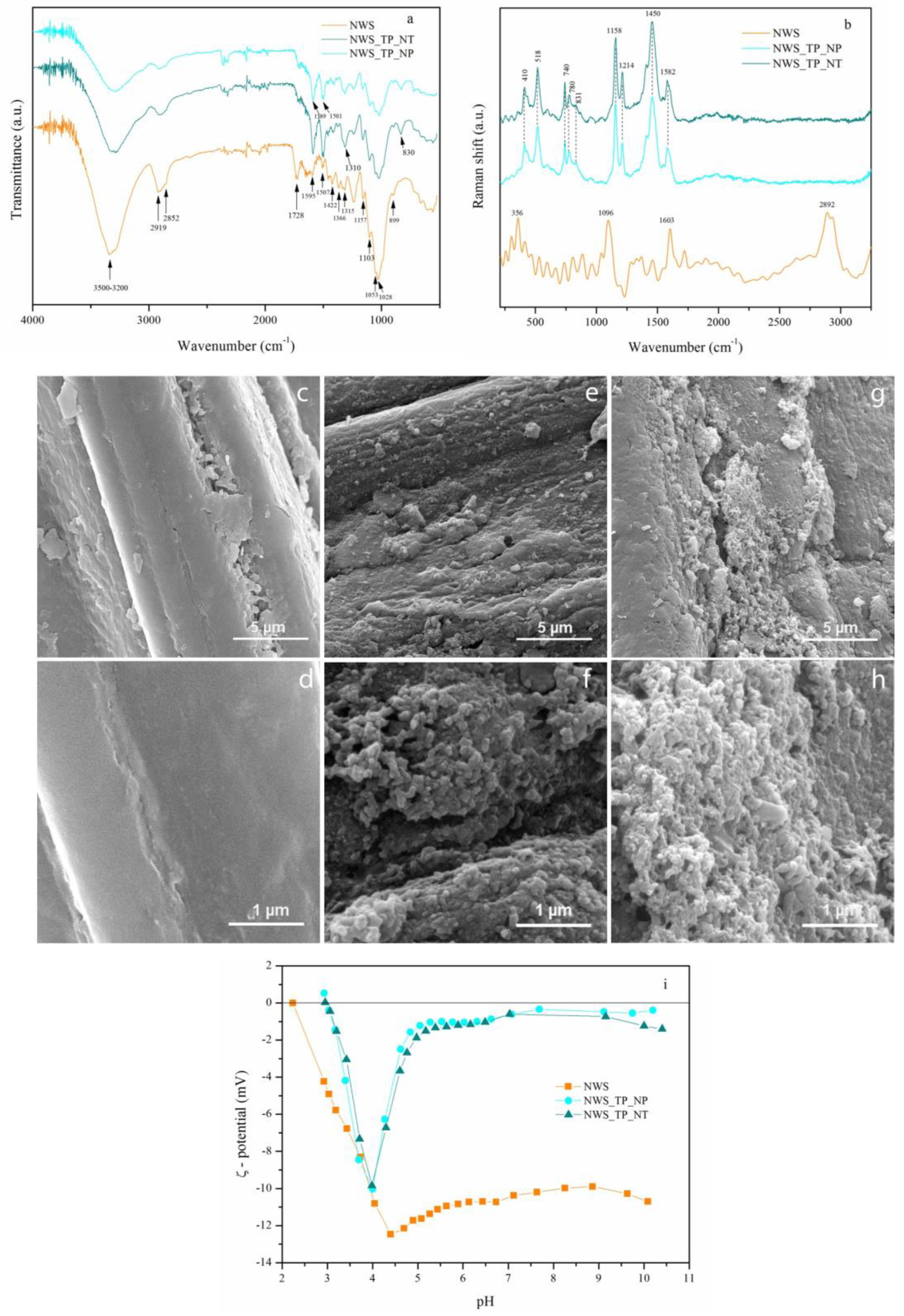 Molecules 29 04366 g002