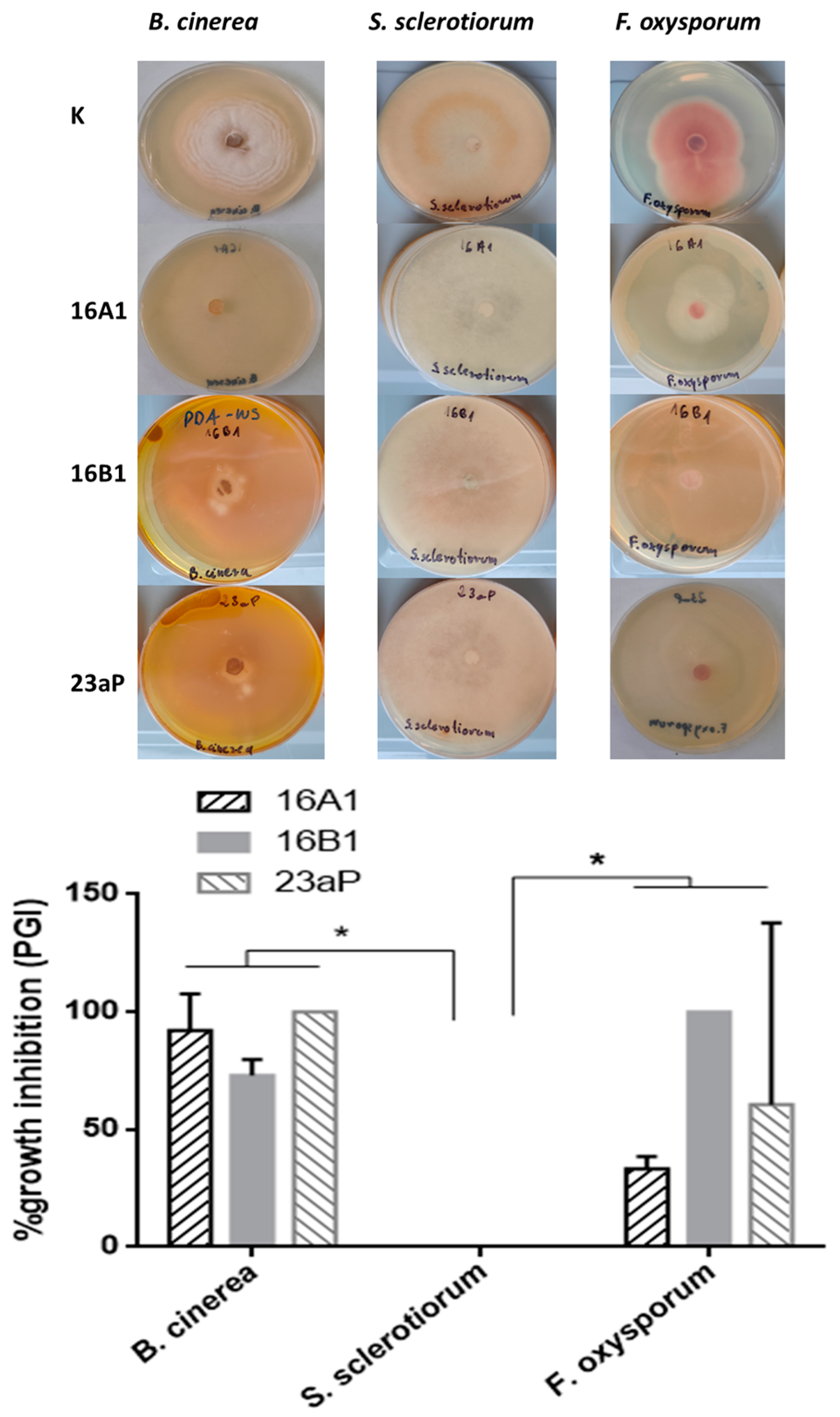 Molecules 29 04370 g004