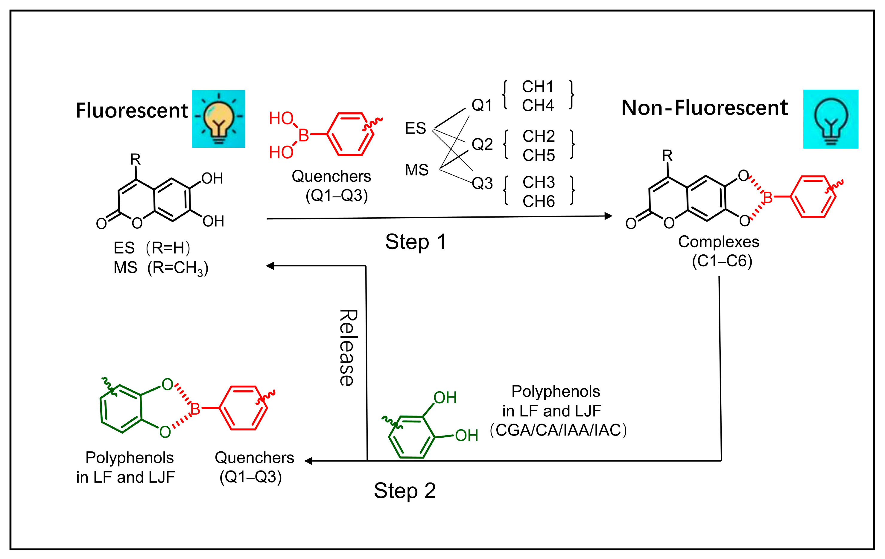 Molecules 29 04374 g001