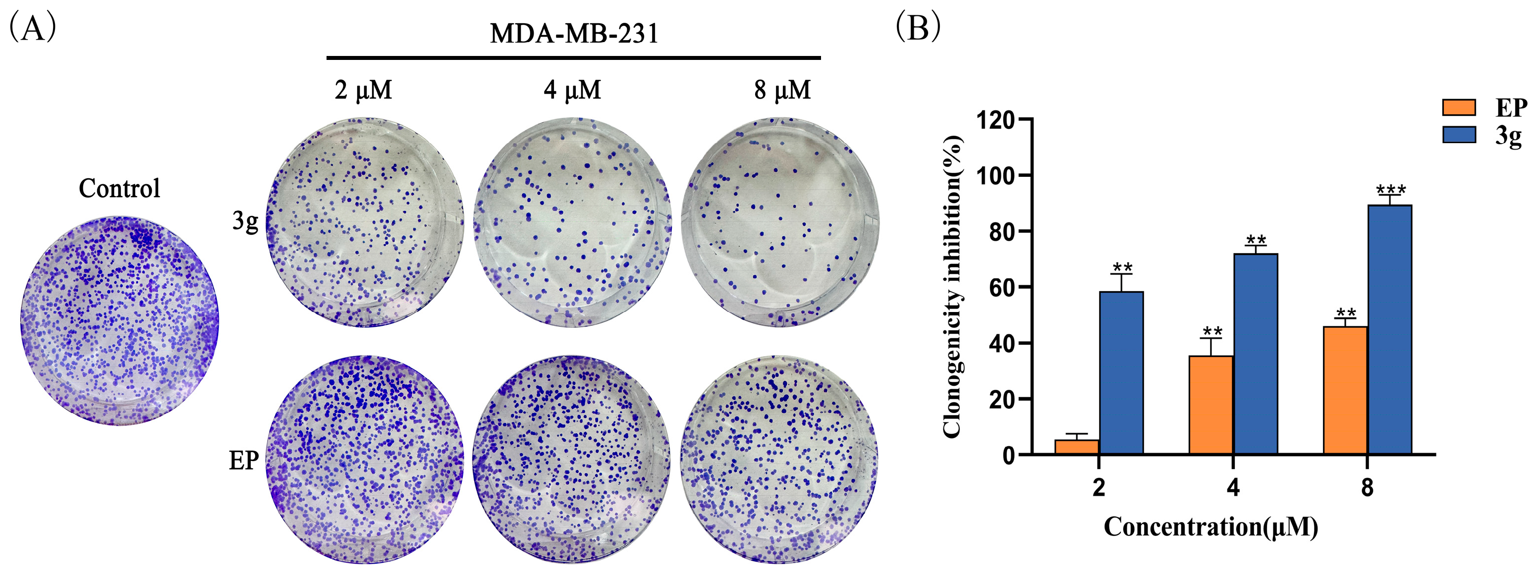 Molecules 29 04375 g003