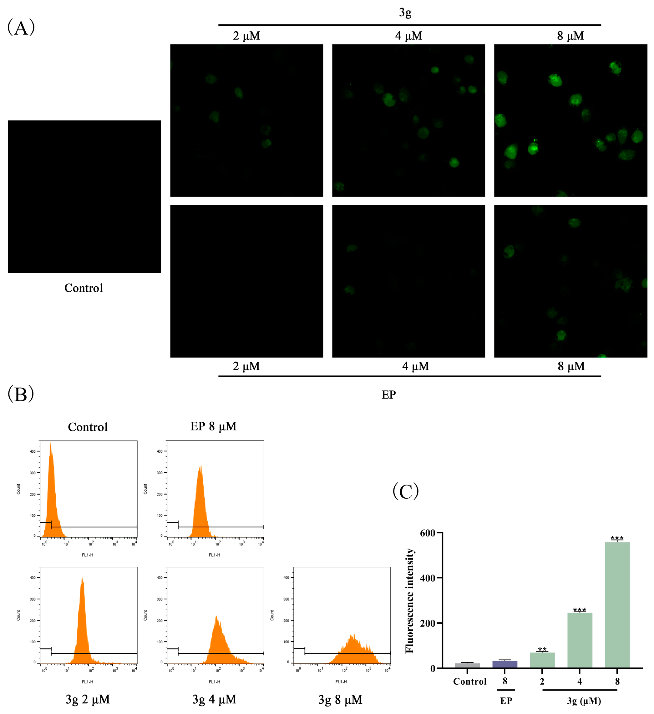 Molecules 29 04375 g006