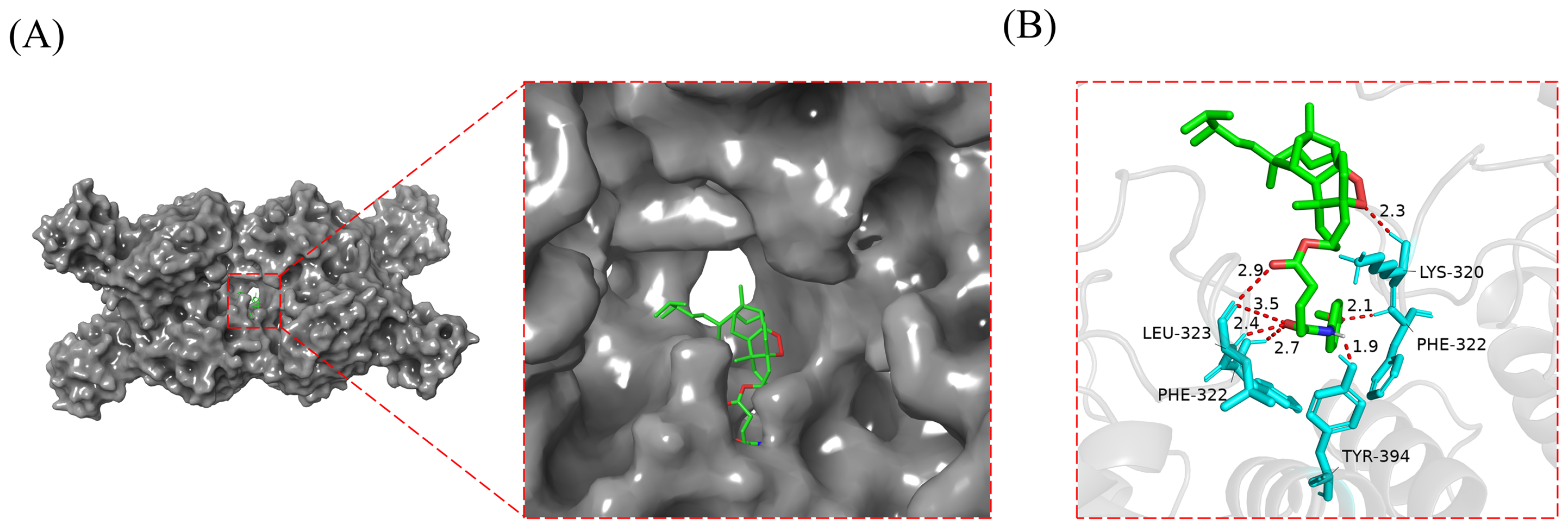Molecules 29 04375 g007