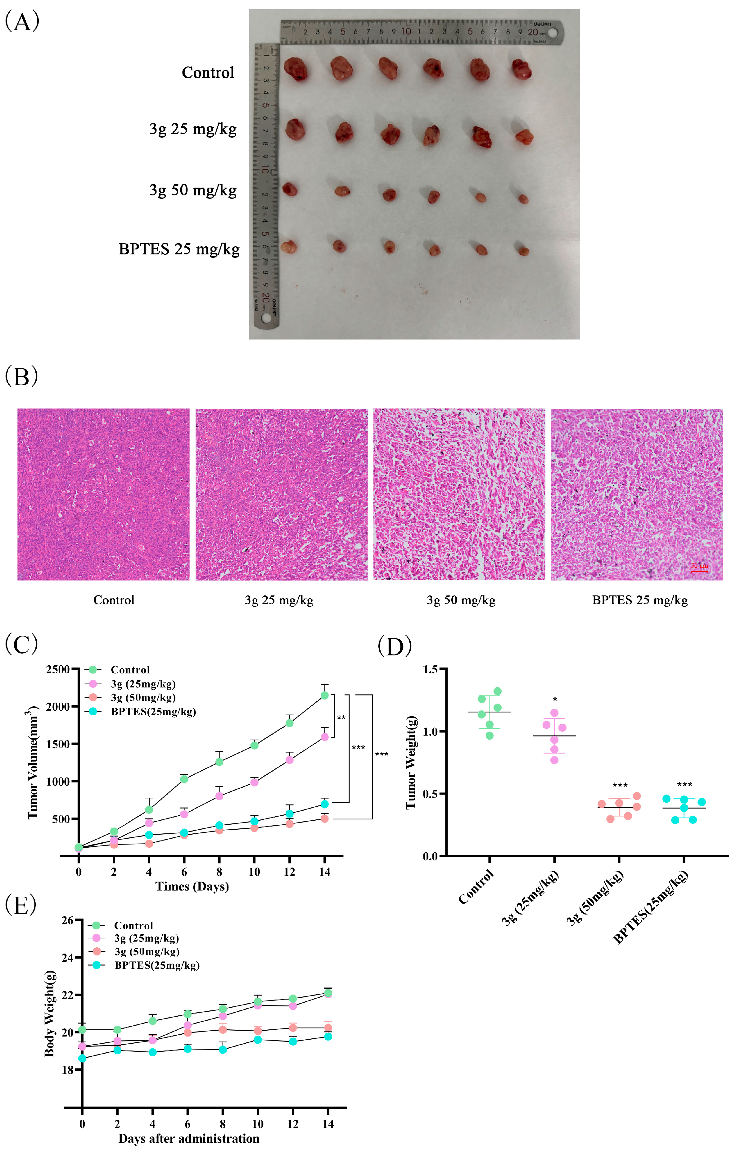 Molecules 29 04375 g008