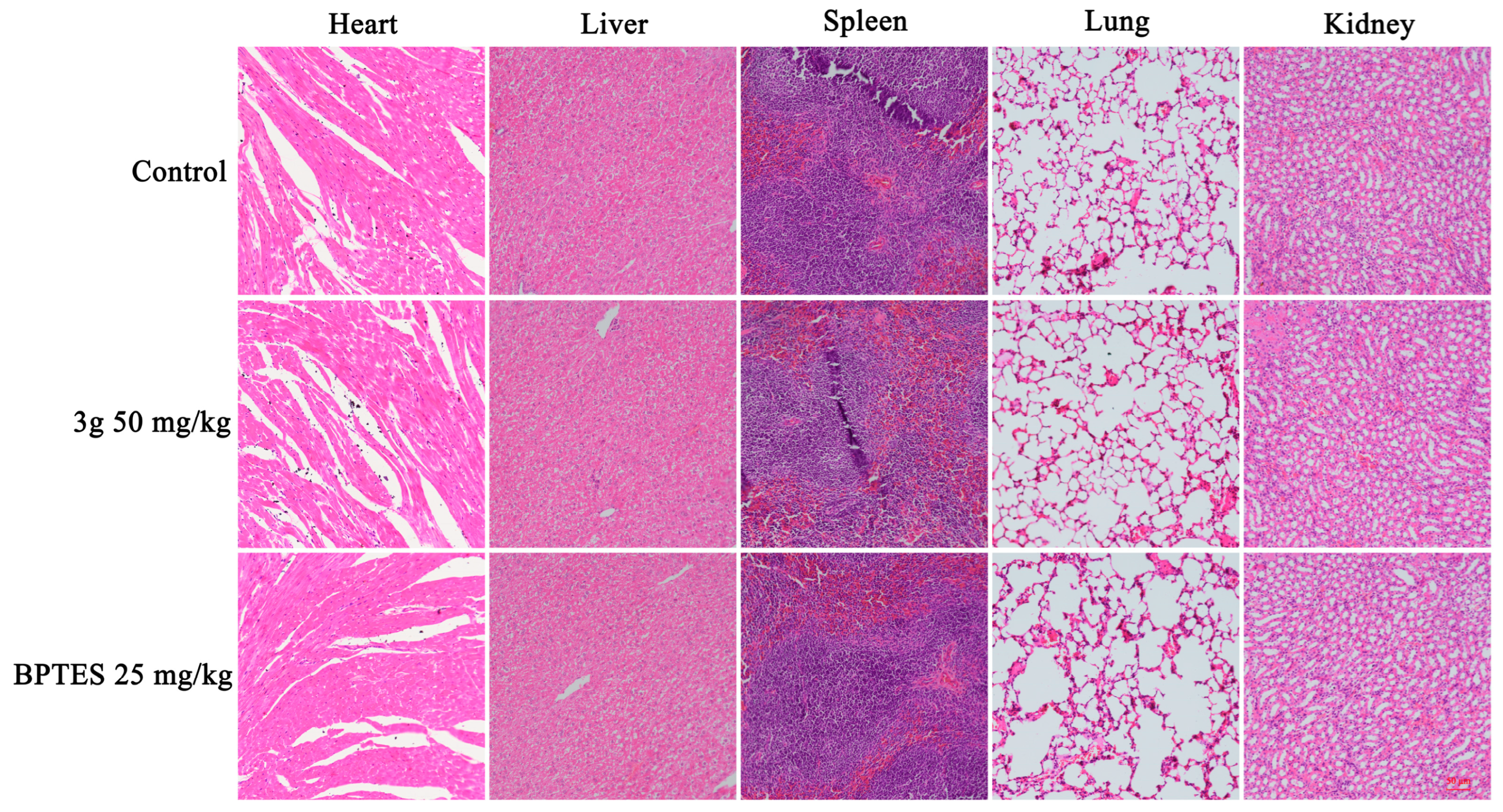 Molecules 29 04375 g009