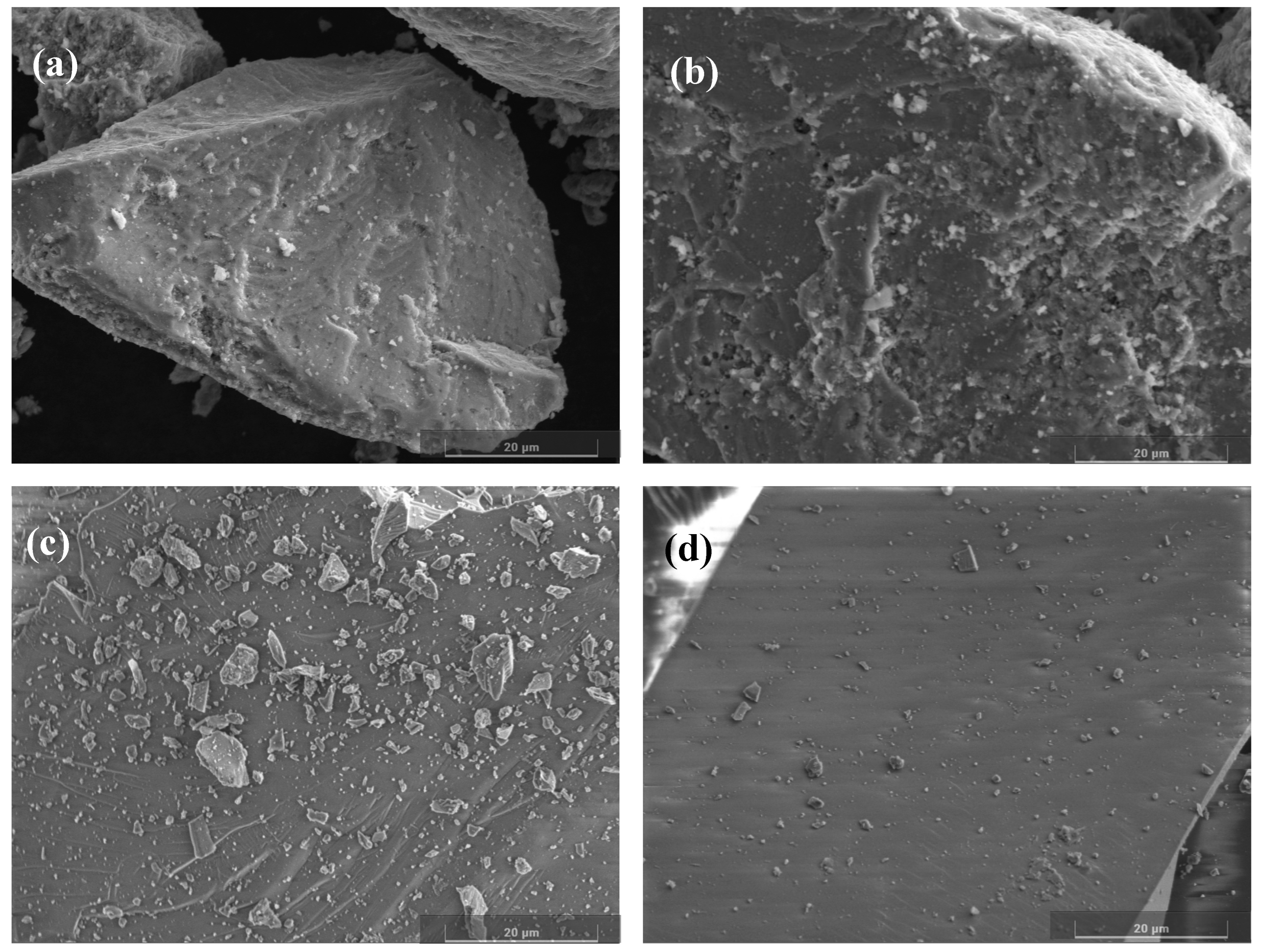 Molecules 29 04379 g005