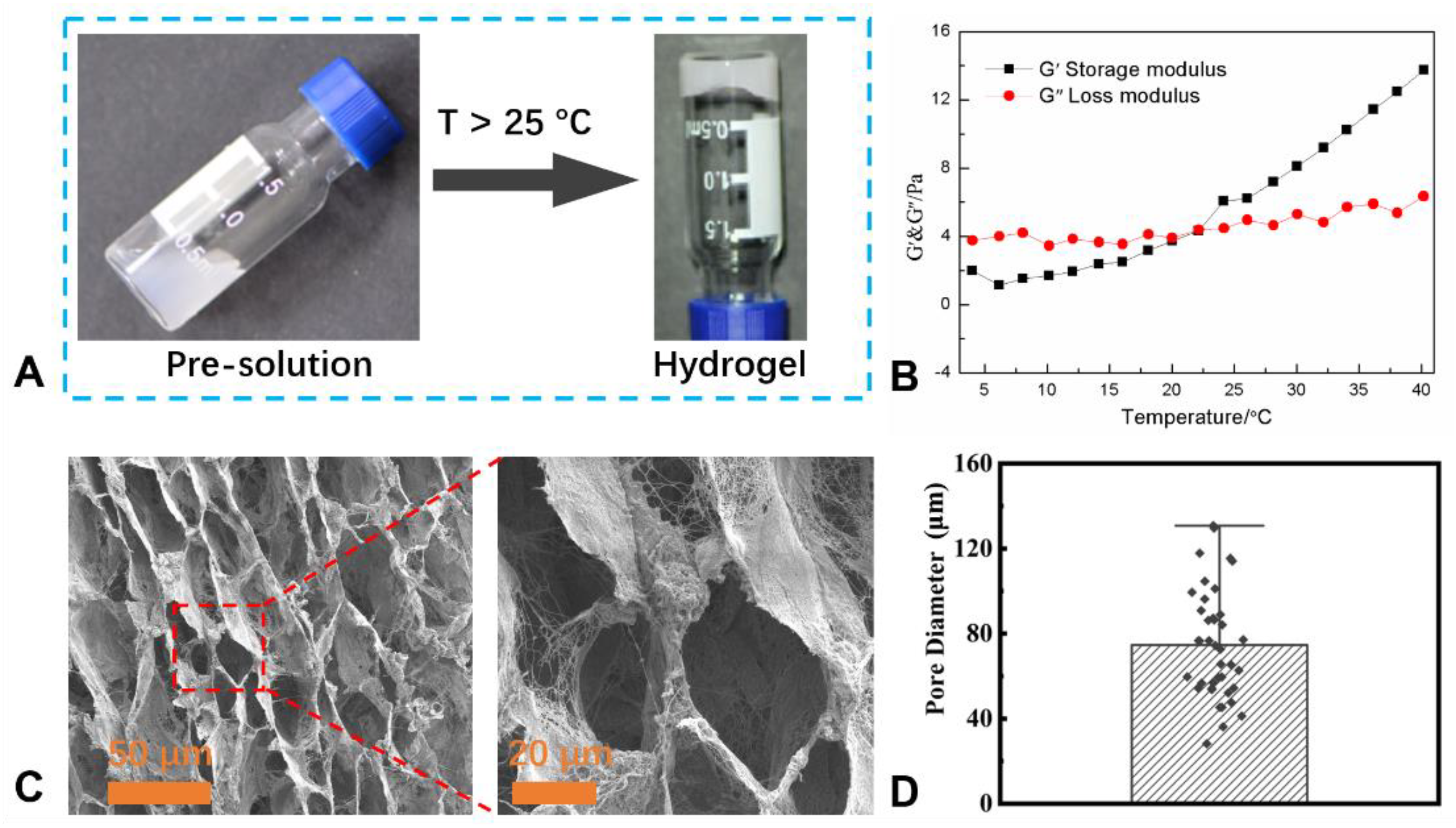 Molecules 29 04385 g001