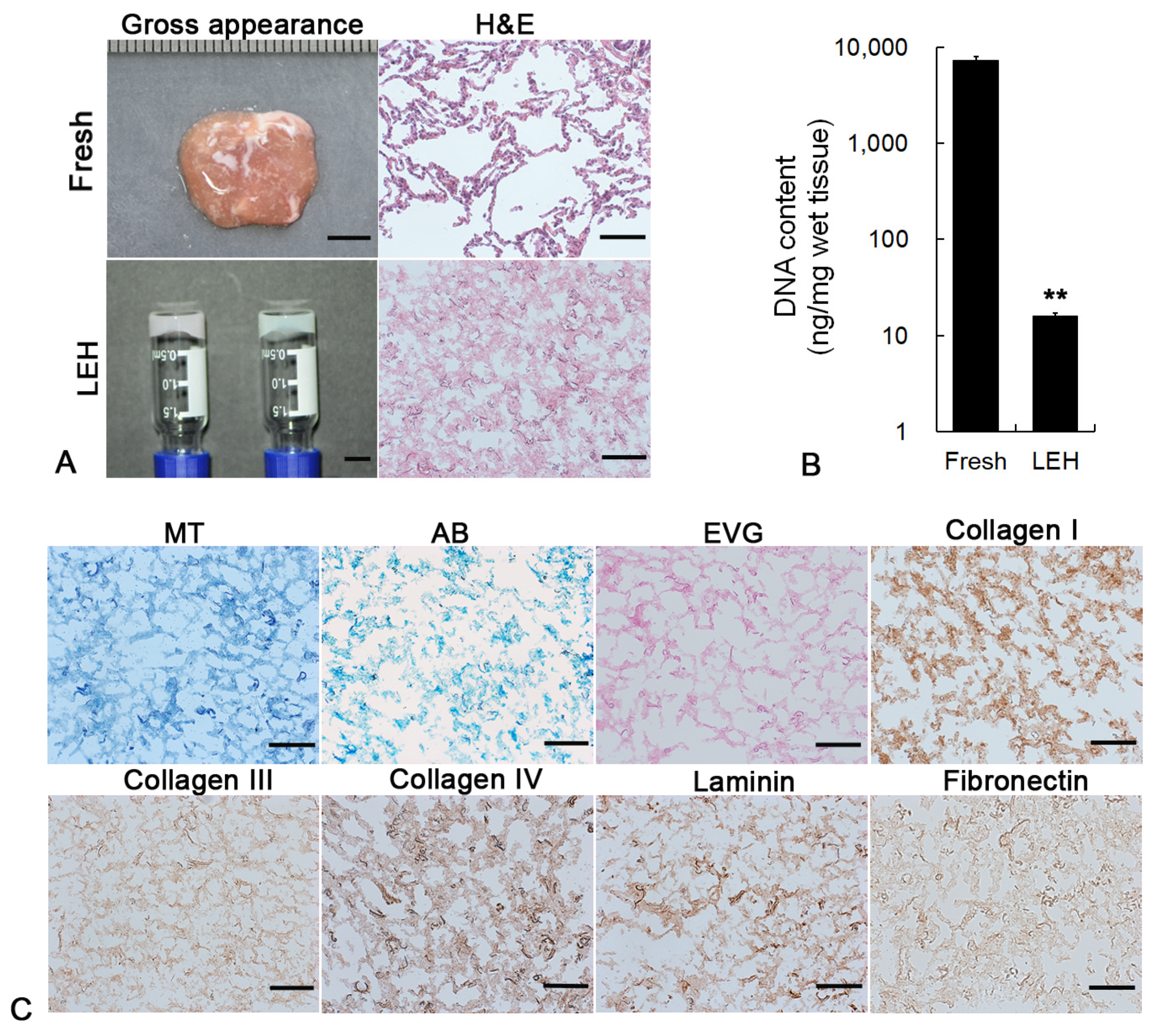Molecules 29 04385 g002
