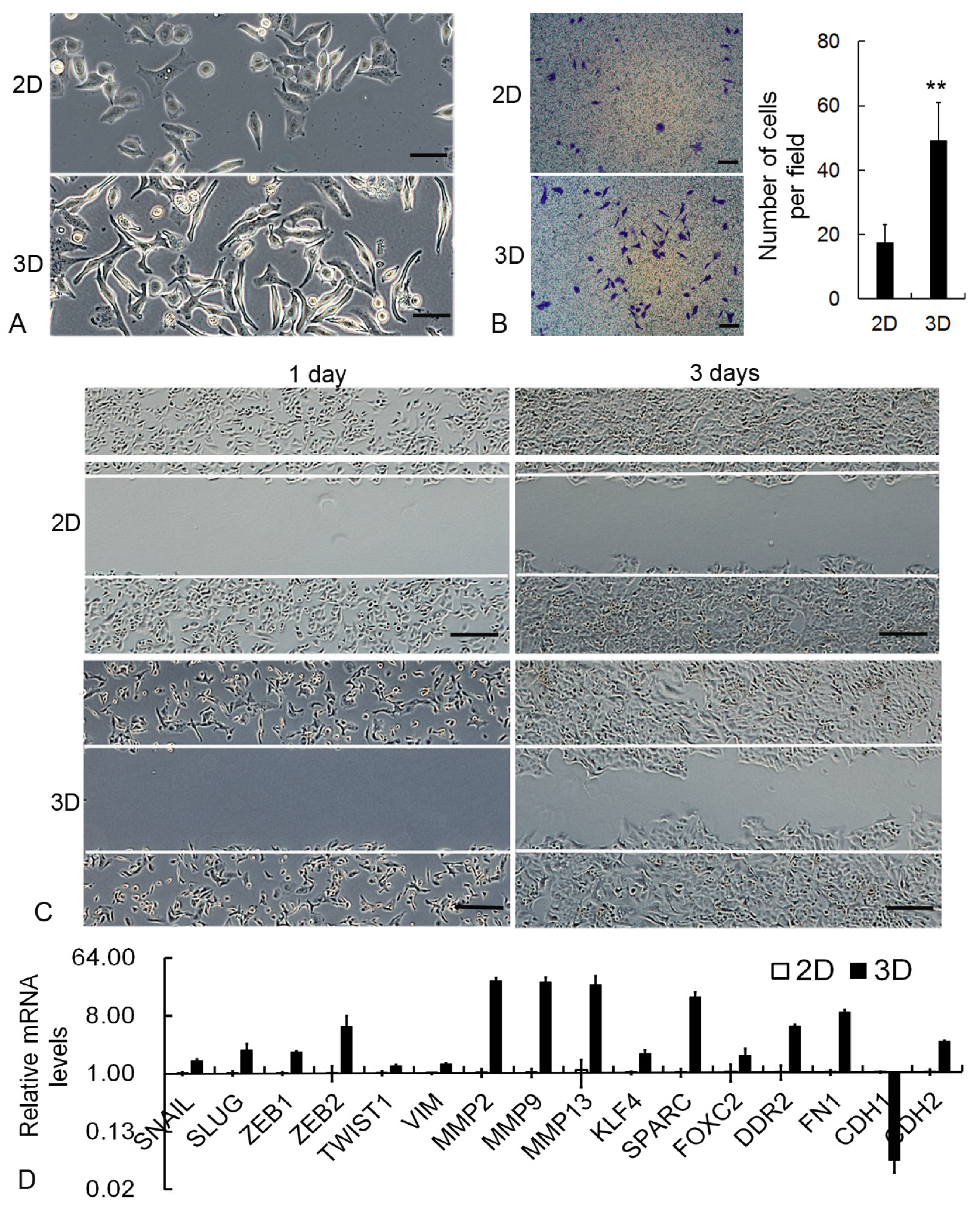 Molecules 29 04385 g004