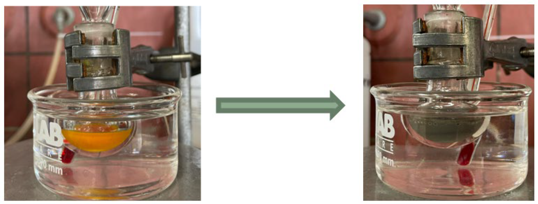 Molecules 29 04398 g001