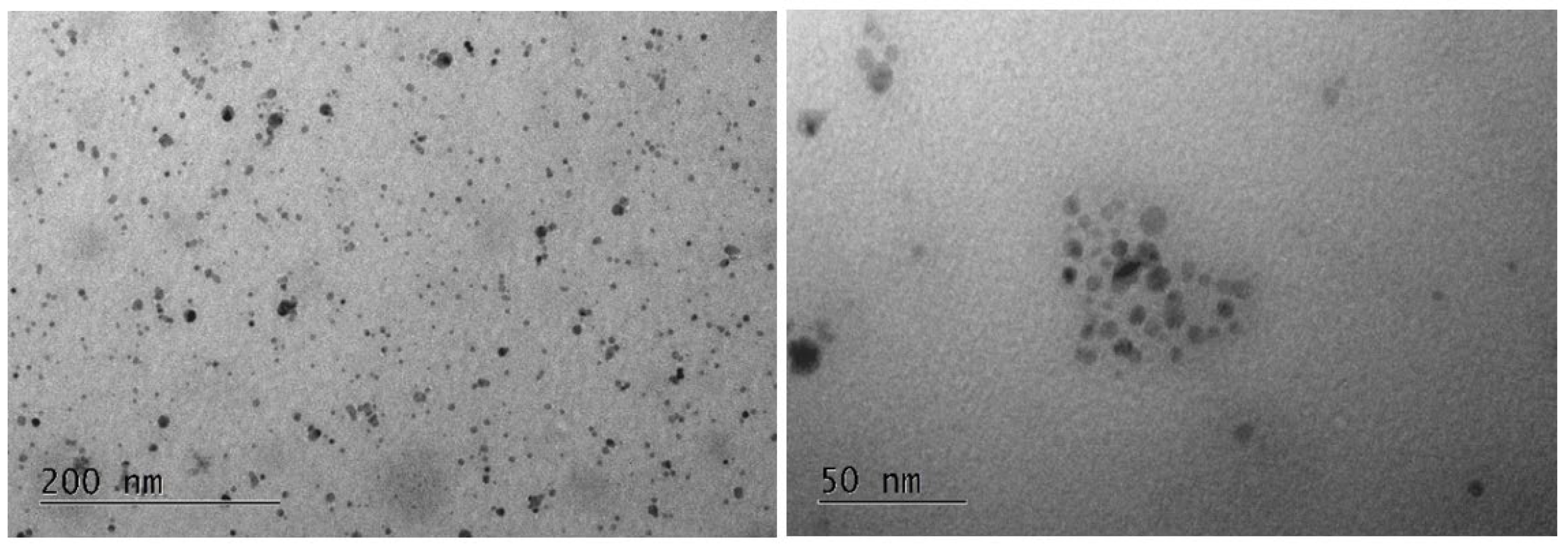 Molecules 29 04398 g002