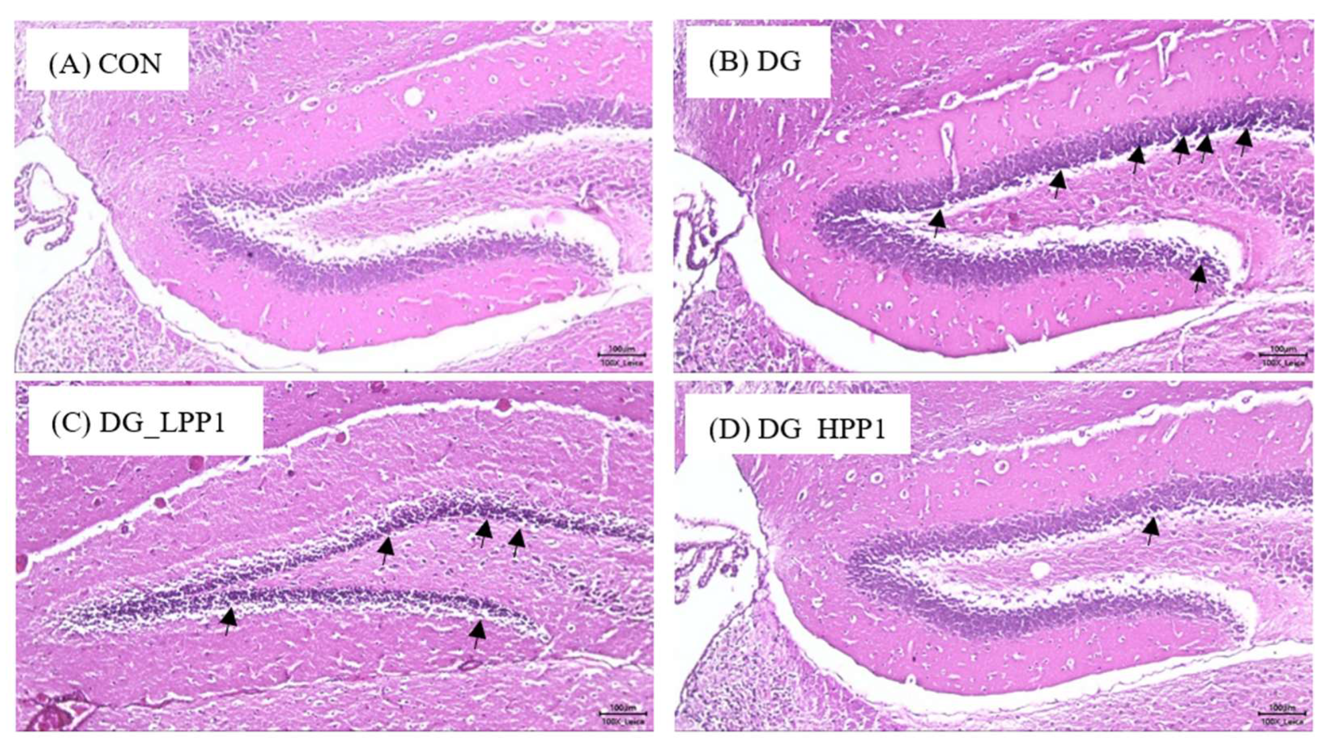 Molecules 29 04402 g005