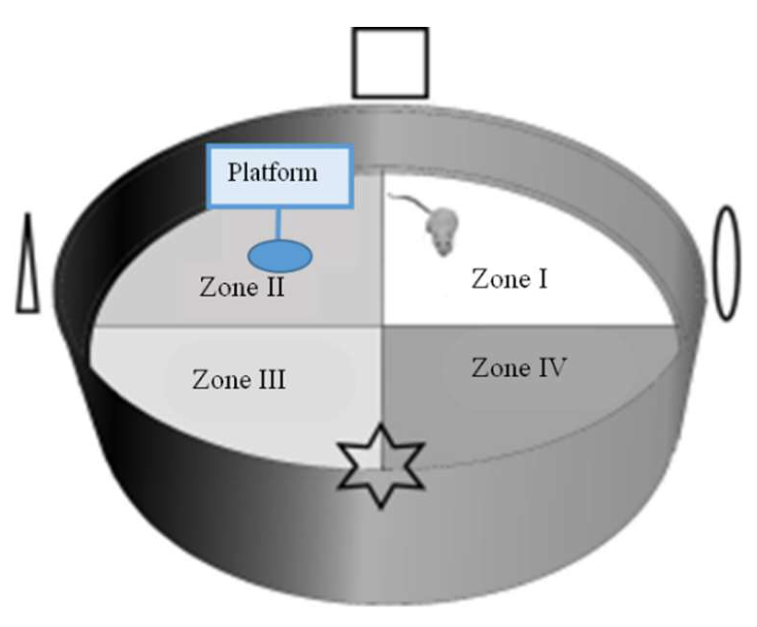 Molecules 29 04402 g006